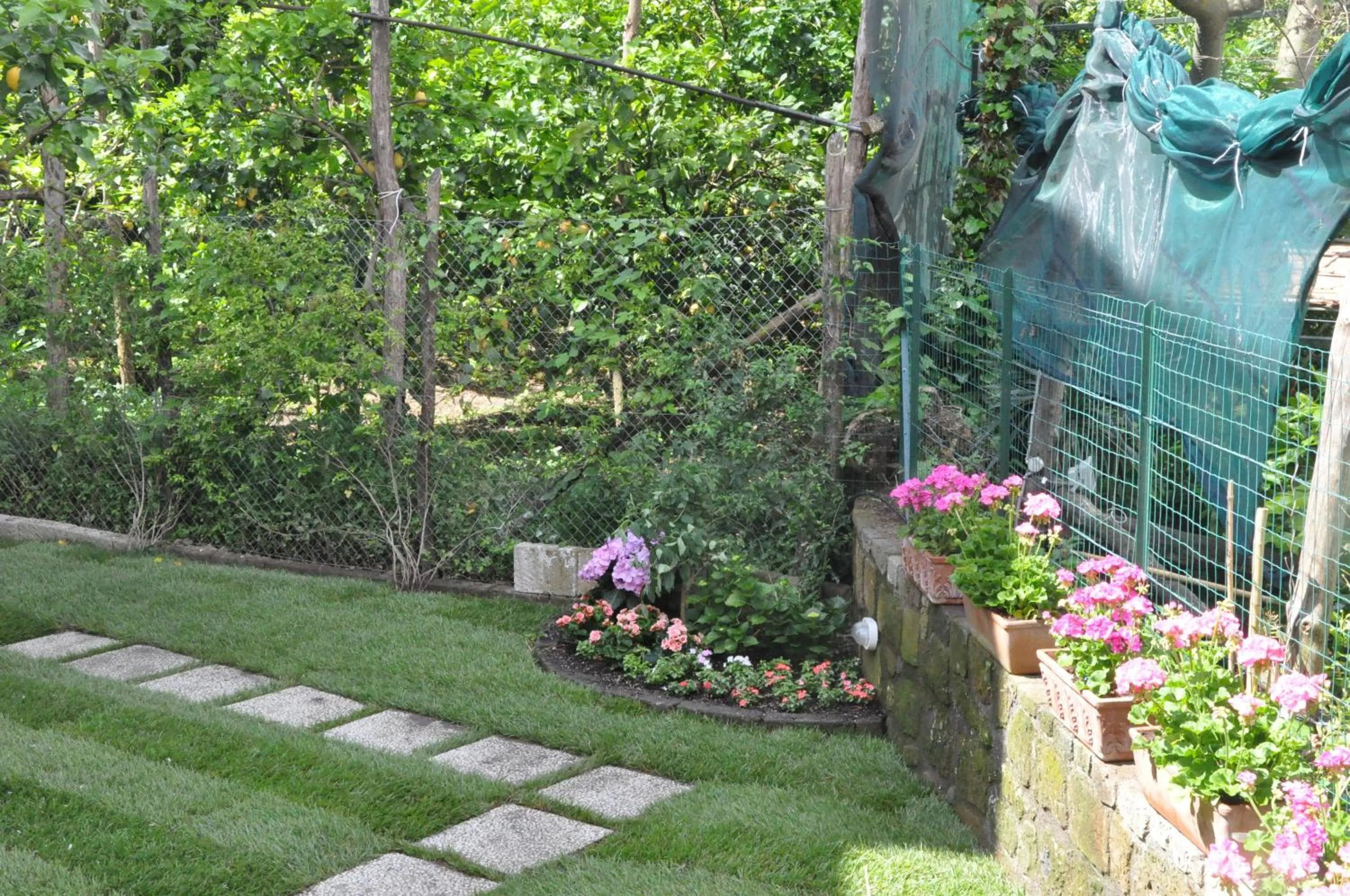 Garden in Hotel Mignon Meublè