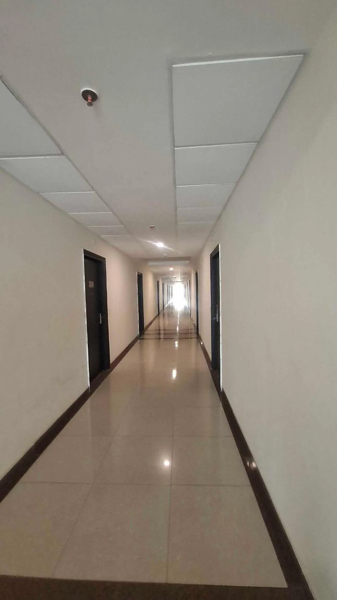 Lobby or reception in Hotel O Daffodils