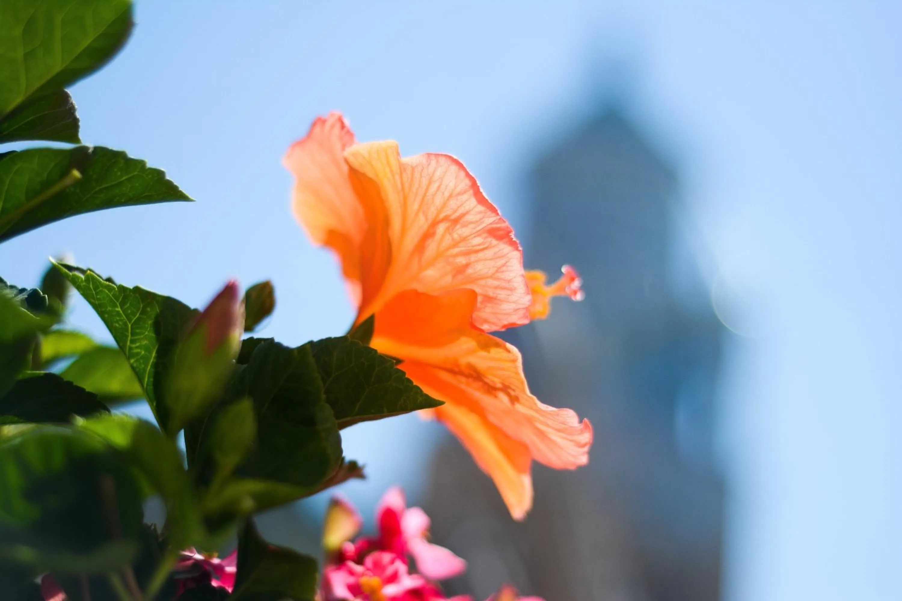 Restaurant/places to eat in Residenza Luce