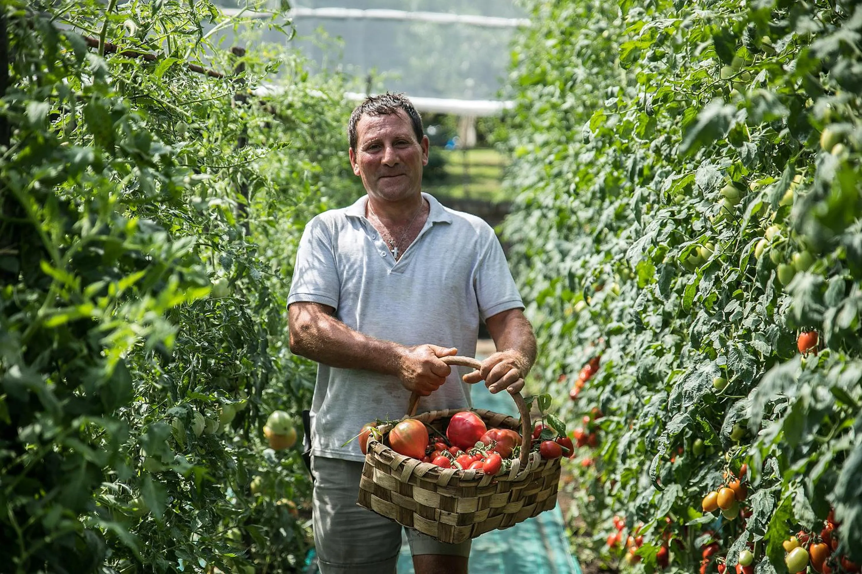 Garden in Hotel Conca Park