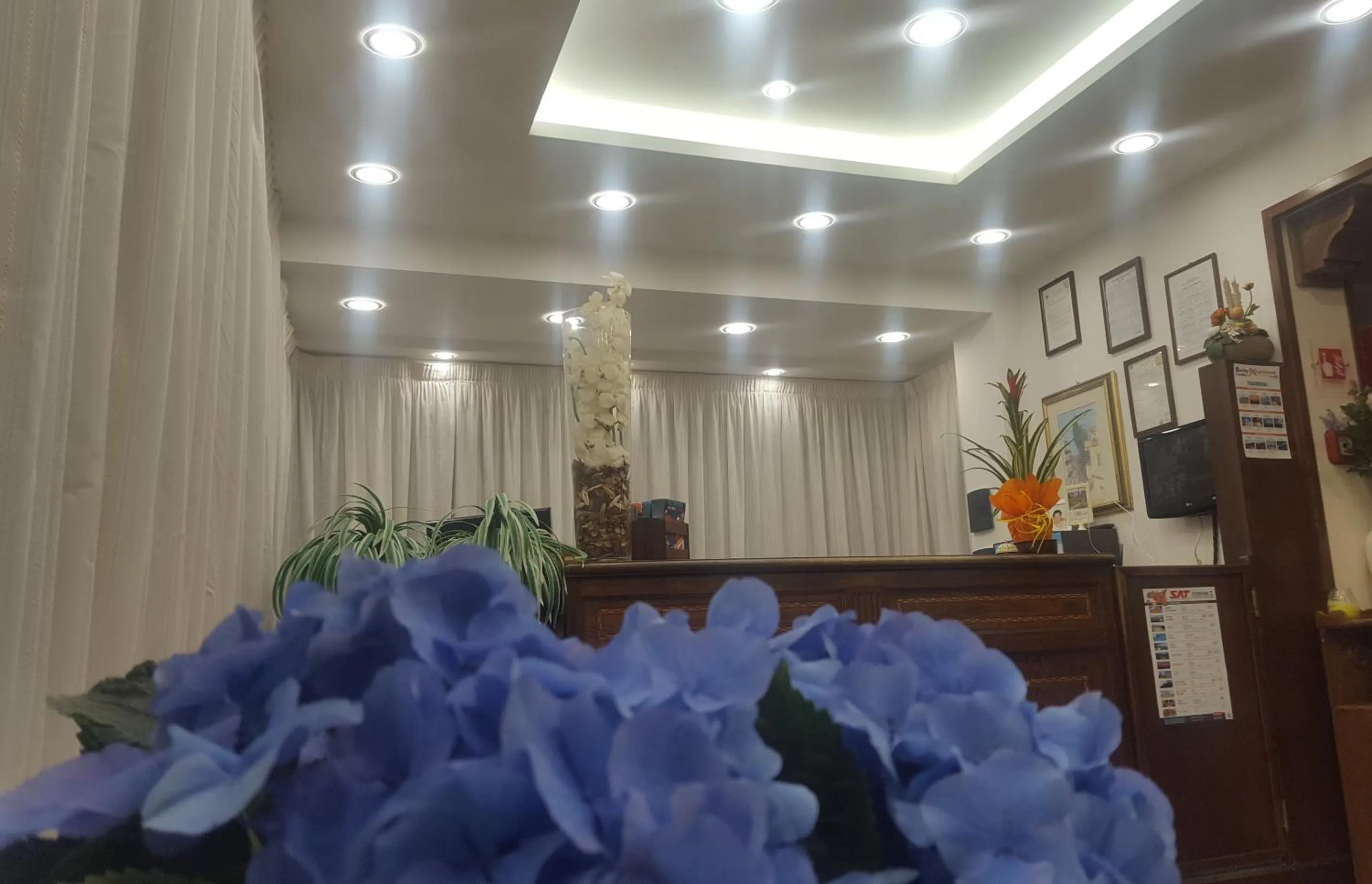 Lobby or reception in Hotel Soleado