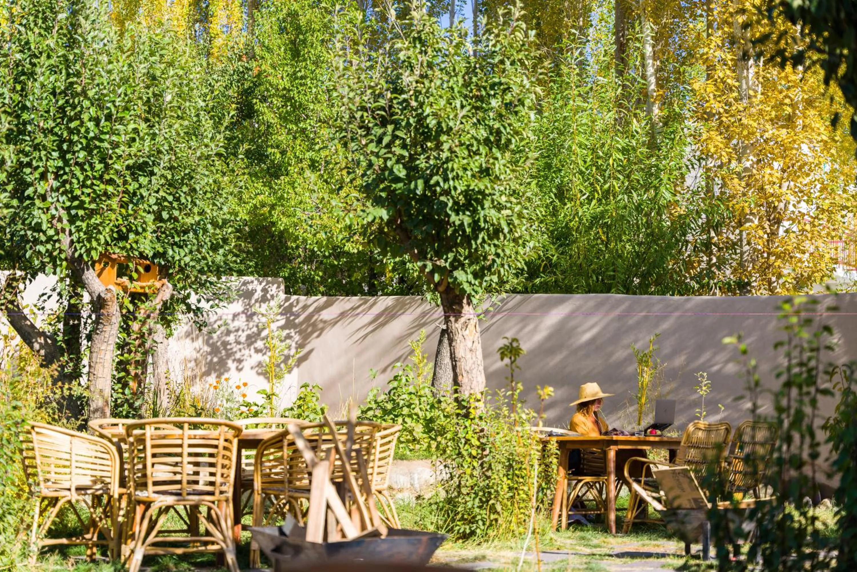 Restaurant/places to eat in Dolkhar Resort