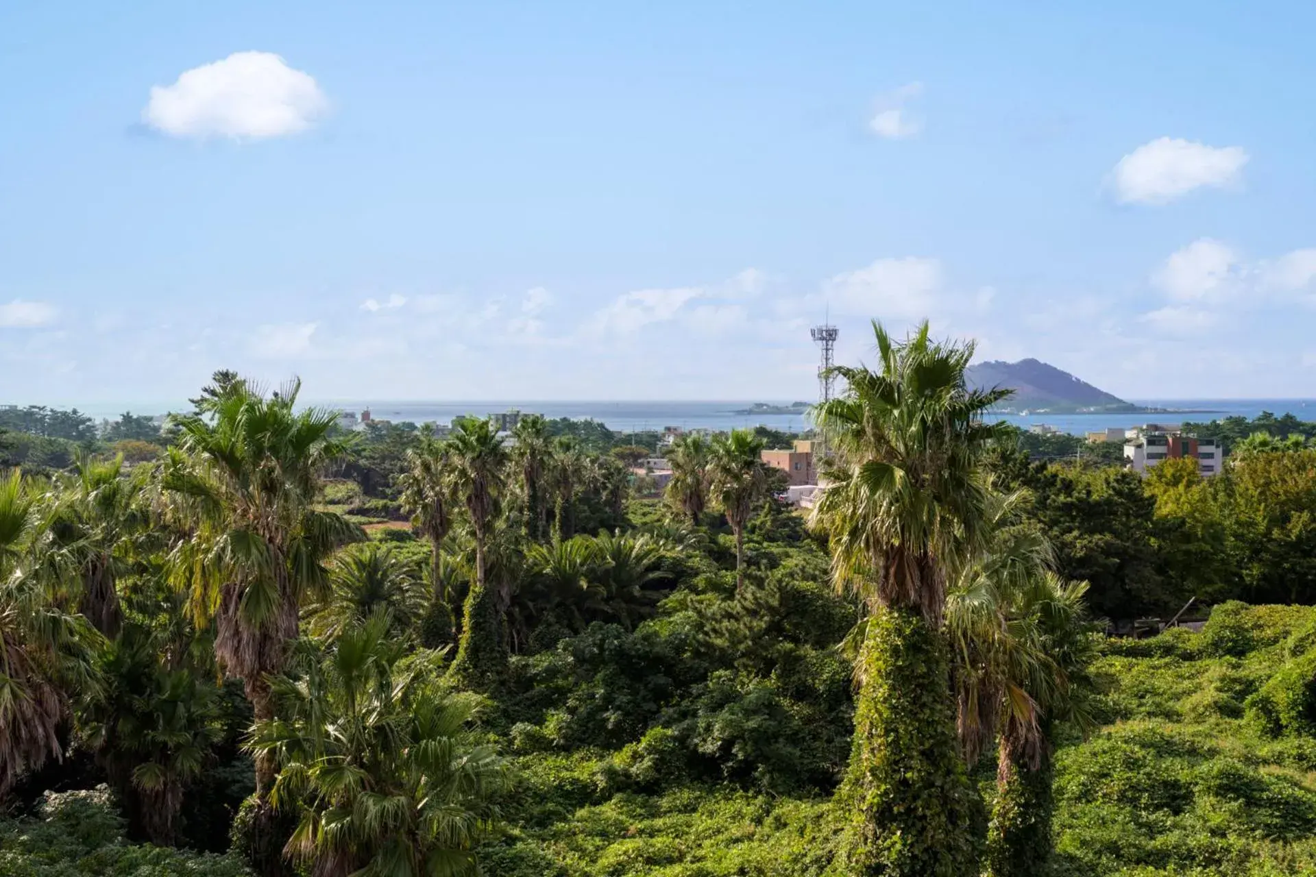 Sea view in Liverpool & Spa Sea view in Liverpool & Spa