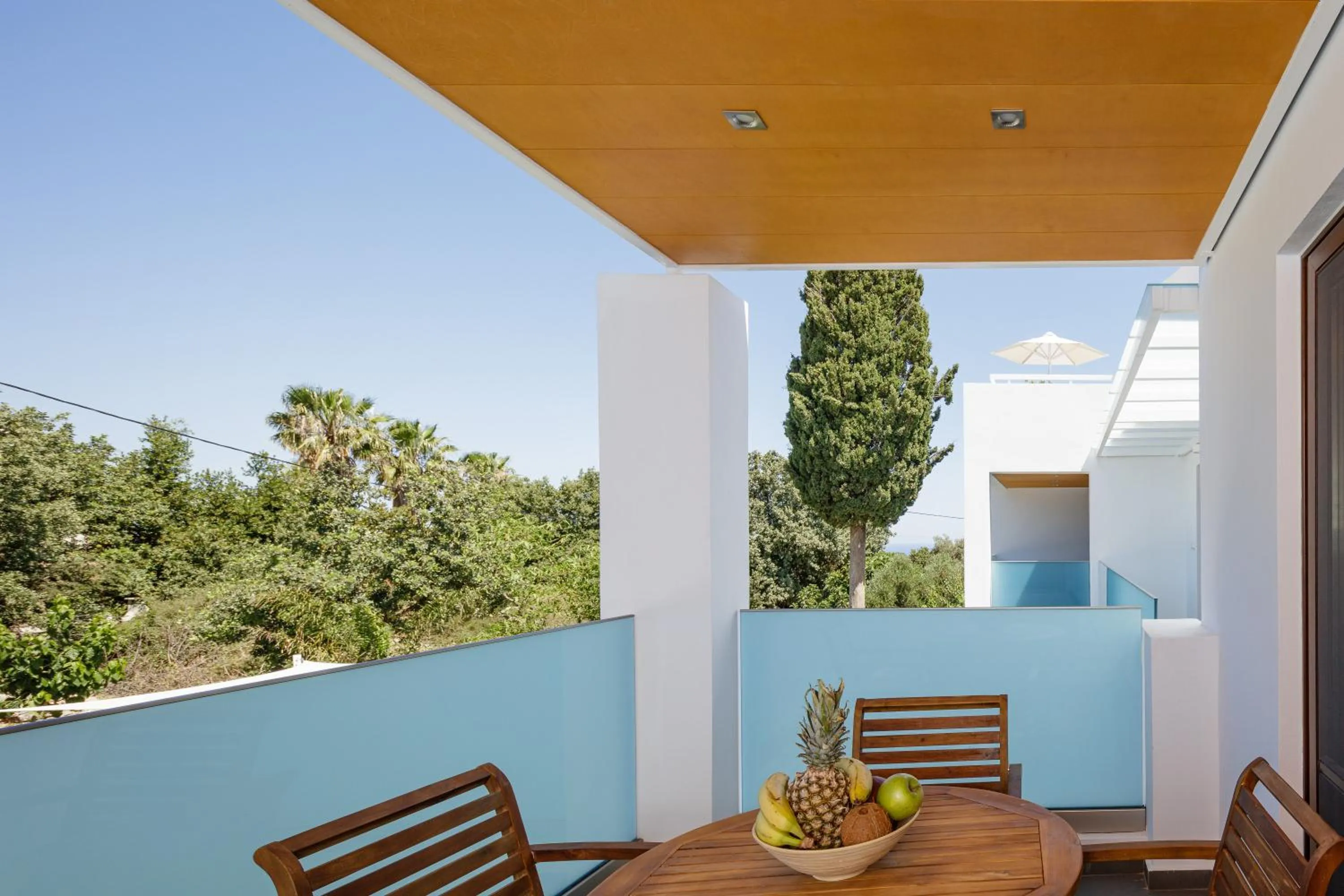 Day in Coconut Palm Paradise