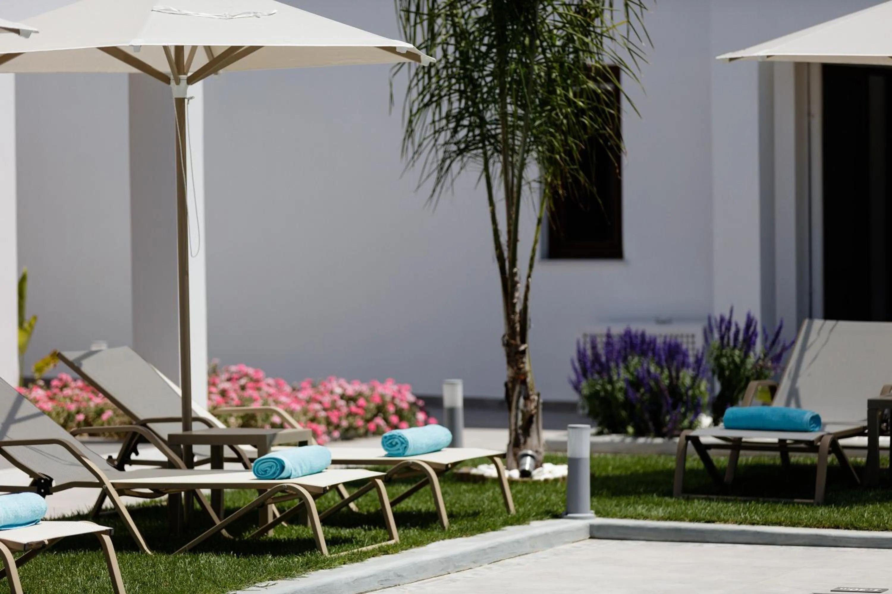 Spring in Coconut Palm Paradise