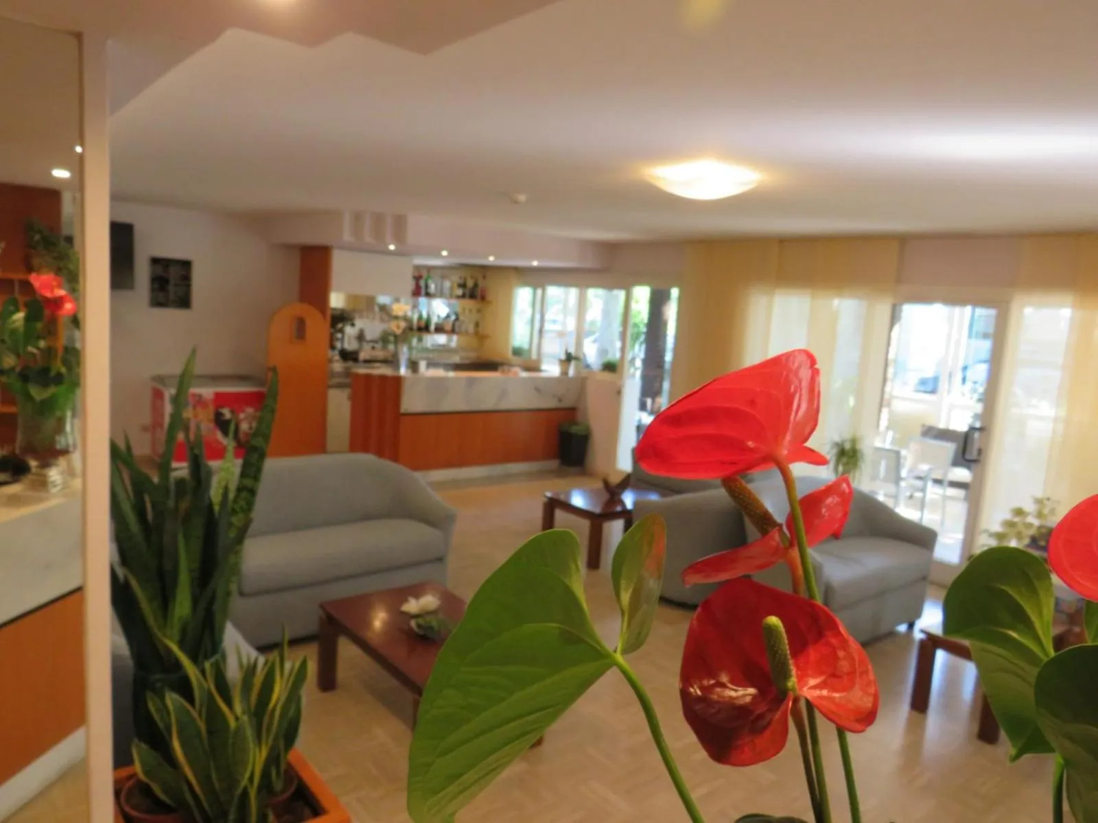 Lounge or bar in Hotel Solidea