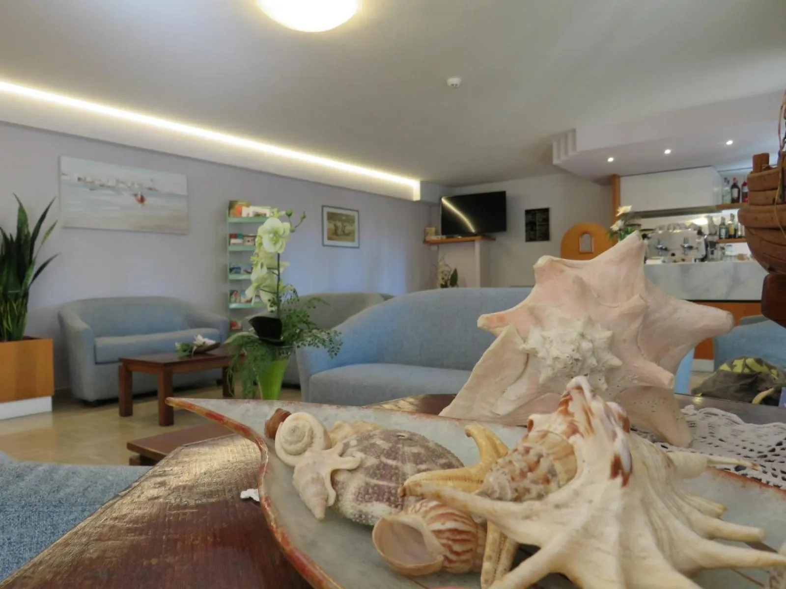 Living room in Hotel Solidea