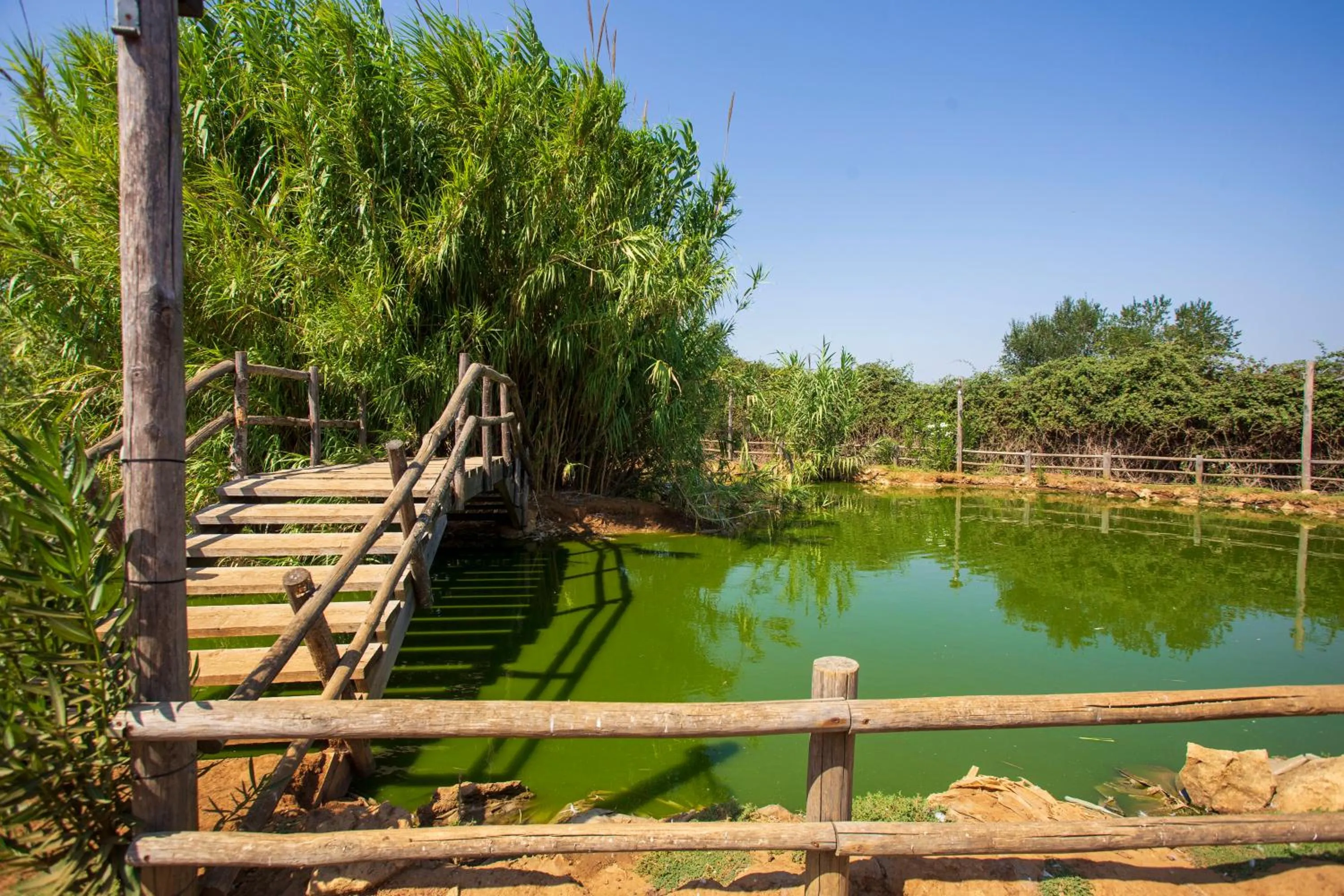 Lake view in Masseria Messapia Wine Resort & Spa Salento