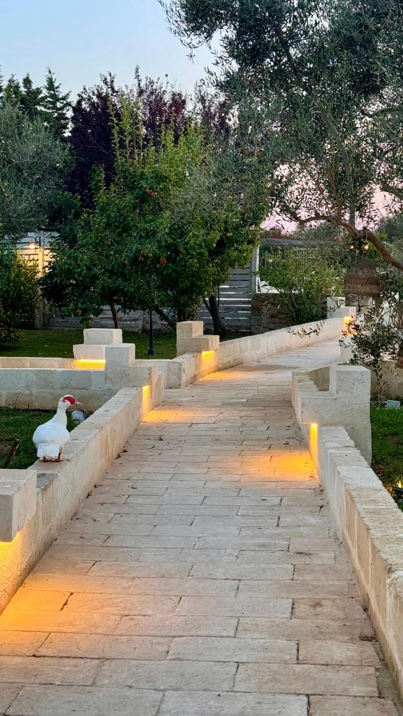 Natural landscape in Masseria Messapia Wine Resort & Spa Salento