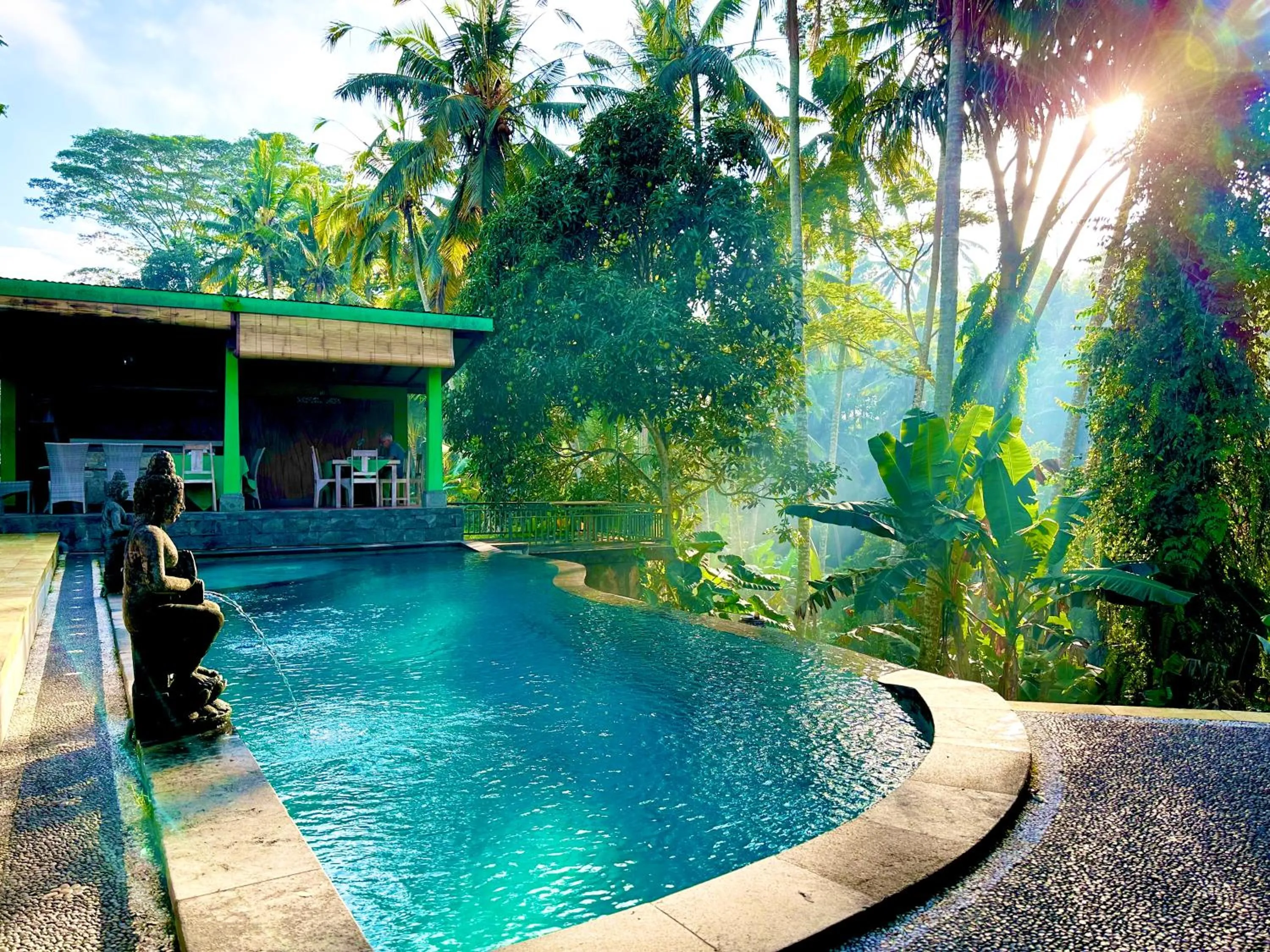 Swimming pool in Dupa Ubud