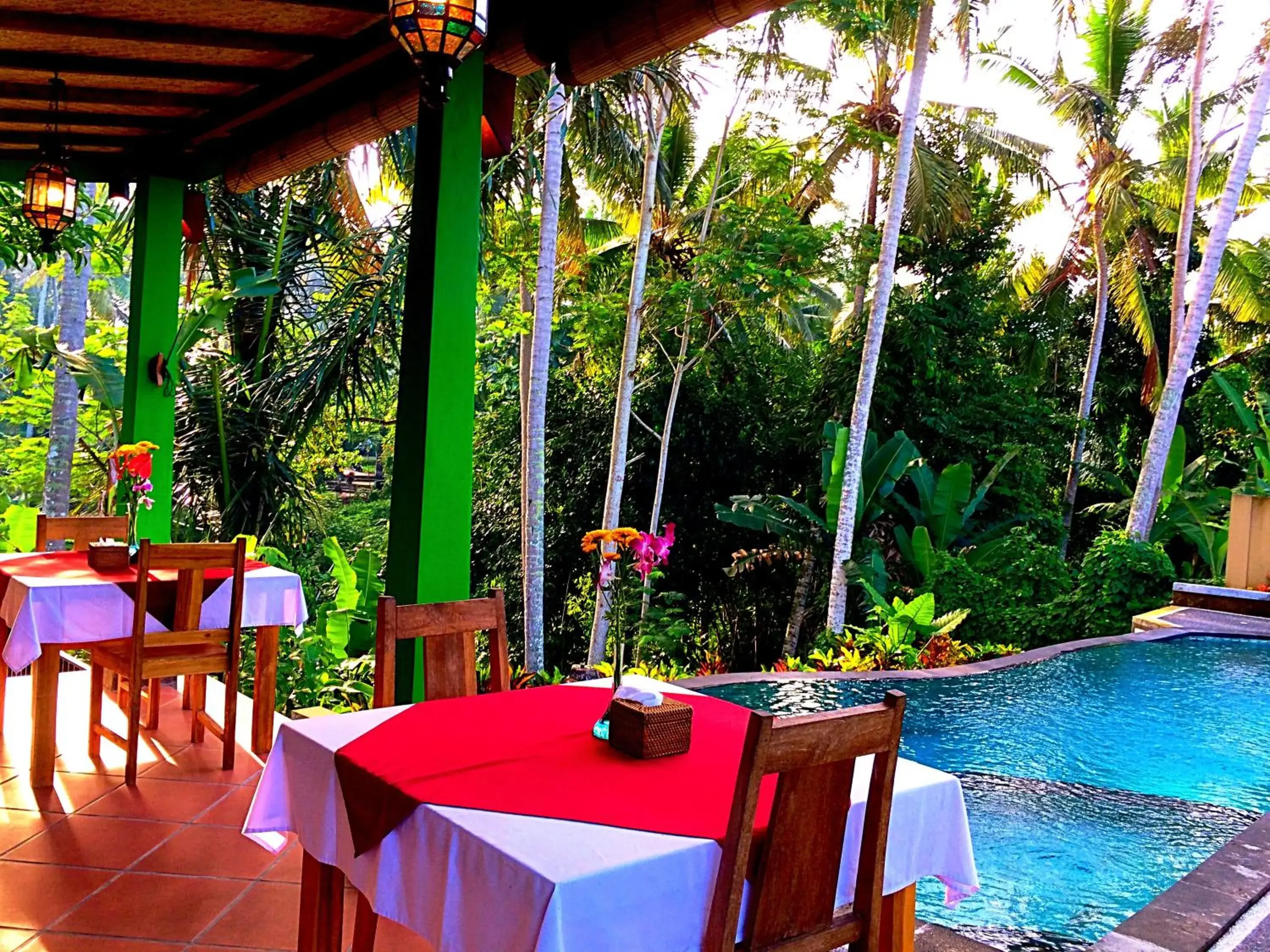 Pool view in Dupa Ubud Pool view in Dupa Ubud
