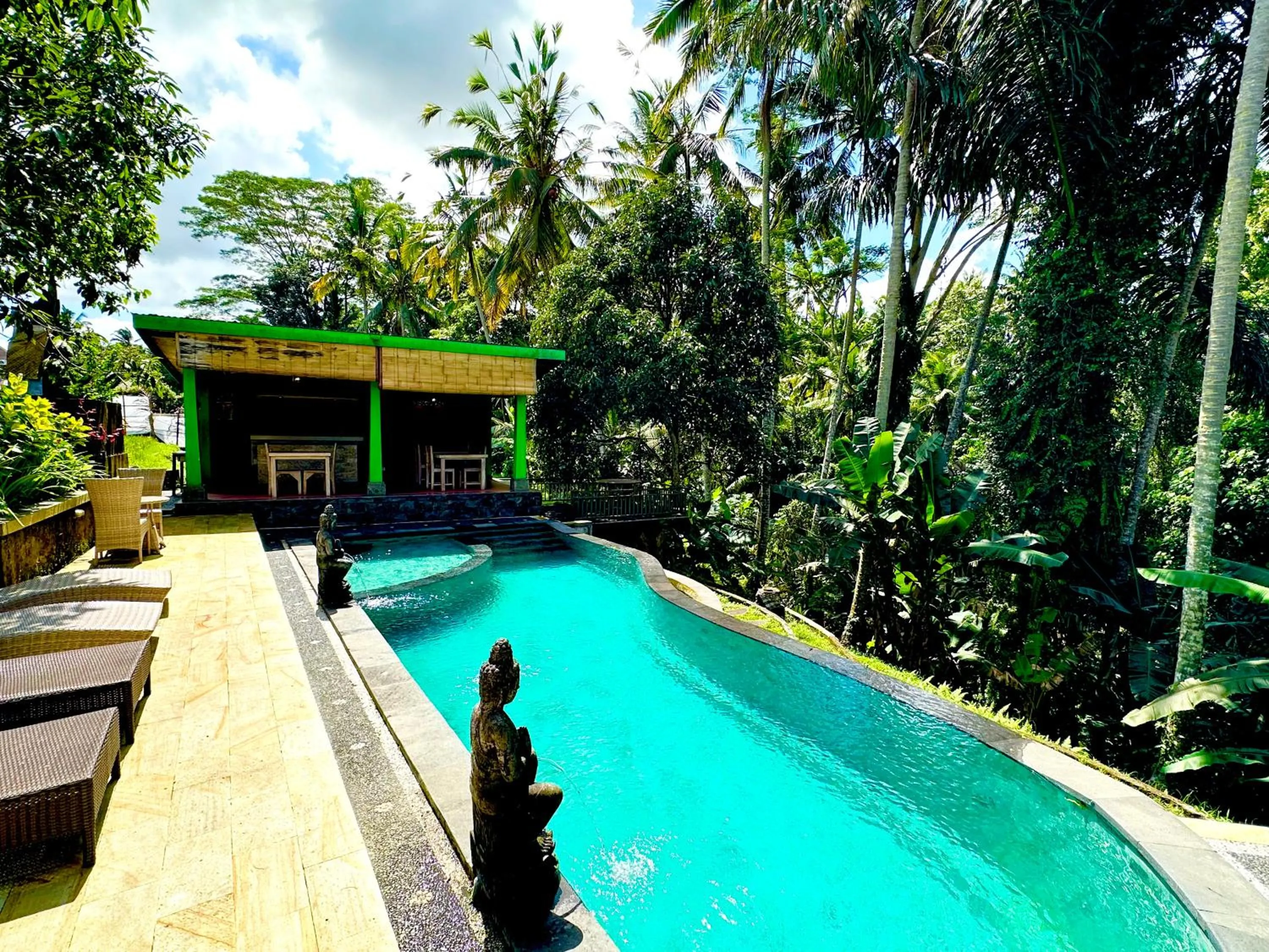 Swimming pool in Dupa Ubud
