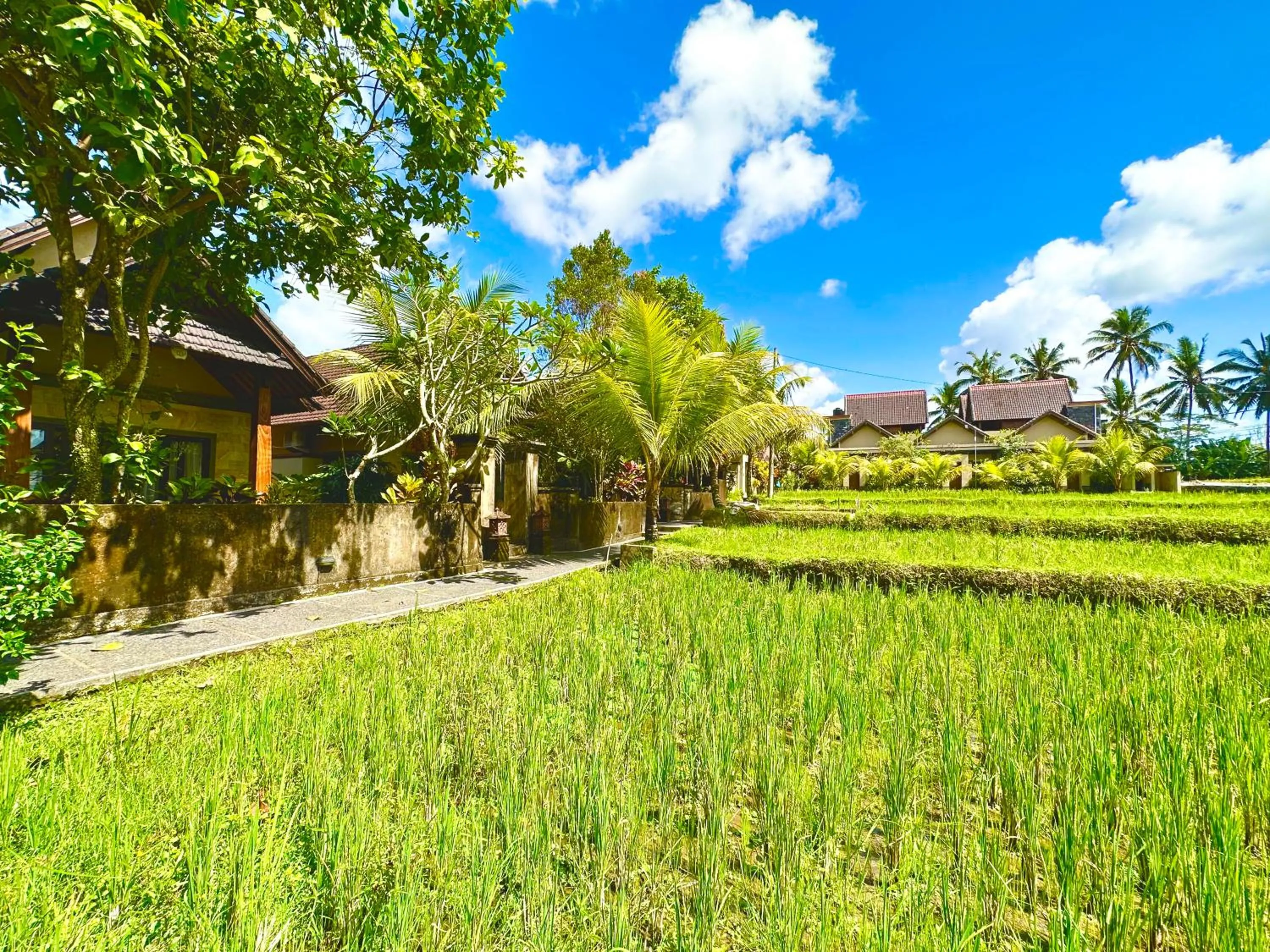 Property building in Dupa Ubud