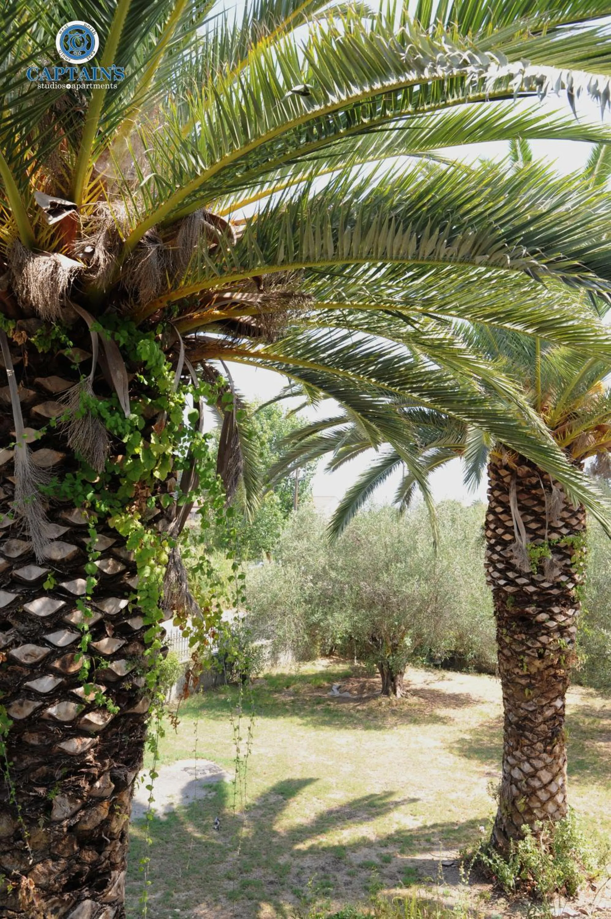 Garden in Captains Studios & Apartments