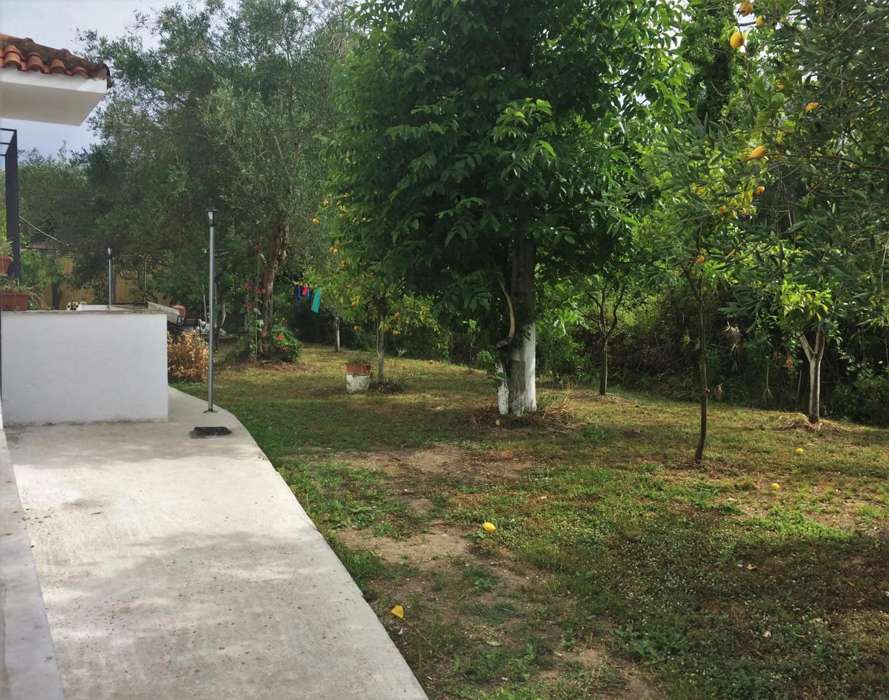 Garden in Captains Studios & Apartments