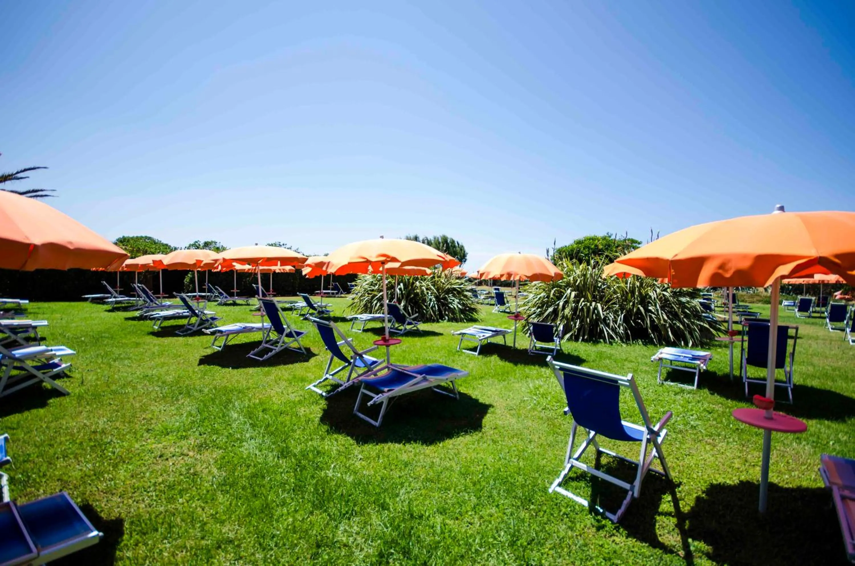 Garden in Torre Del Sole