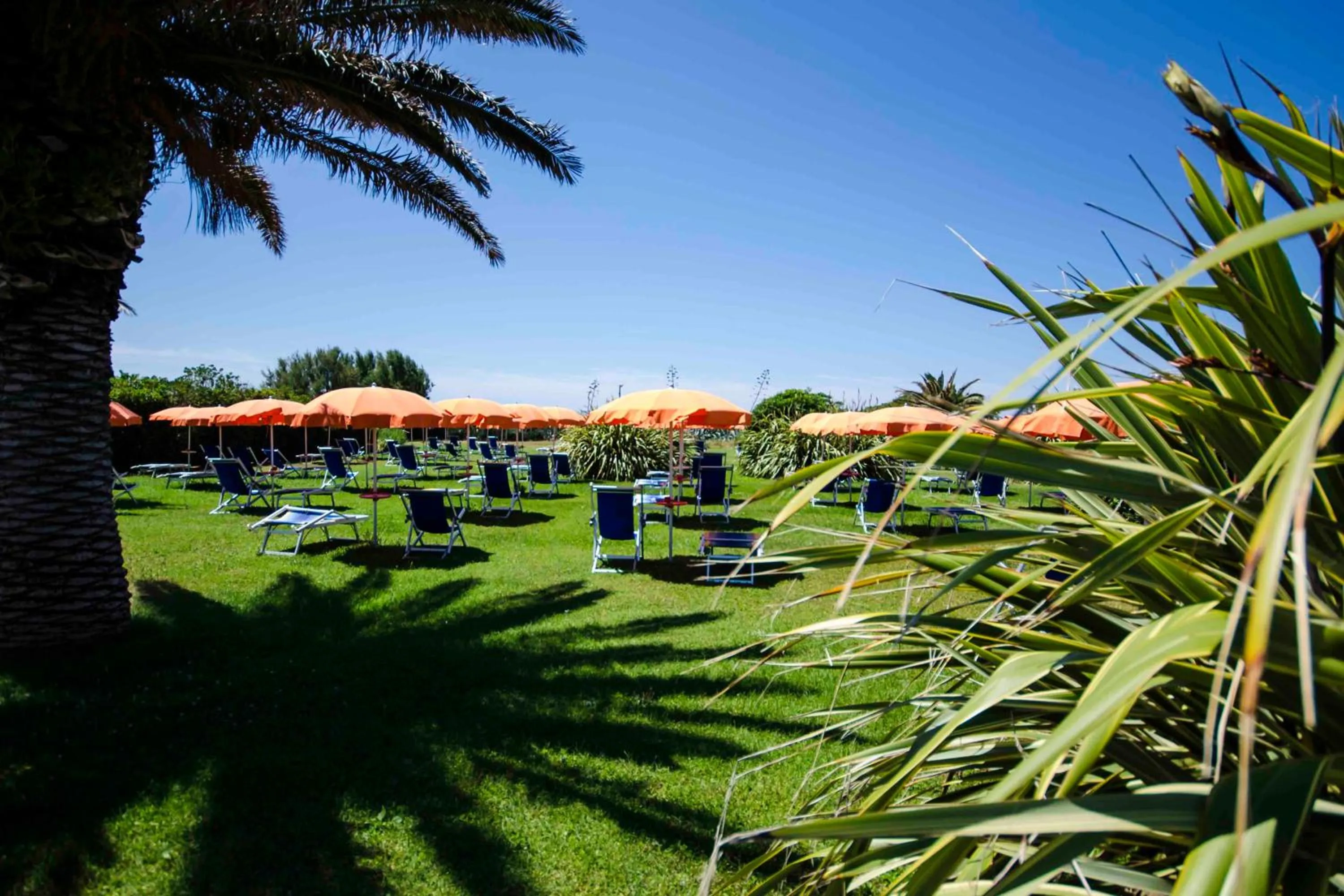 Garden in Torre Del Sole