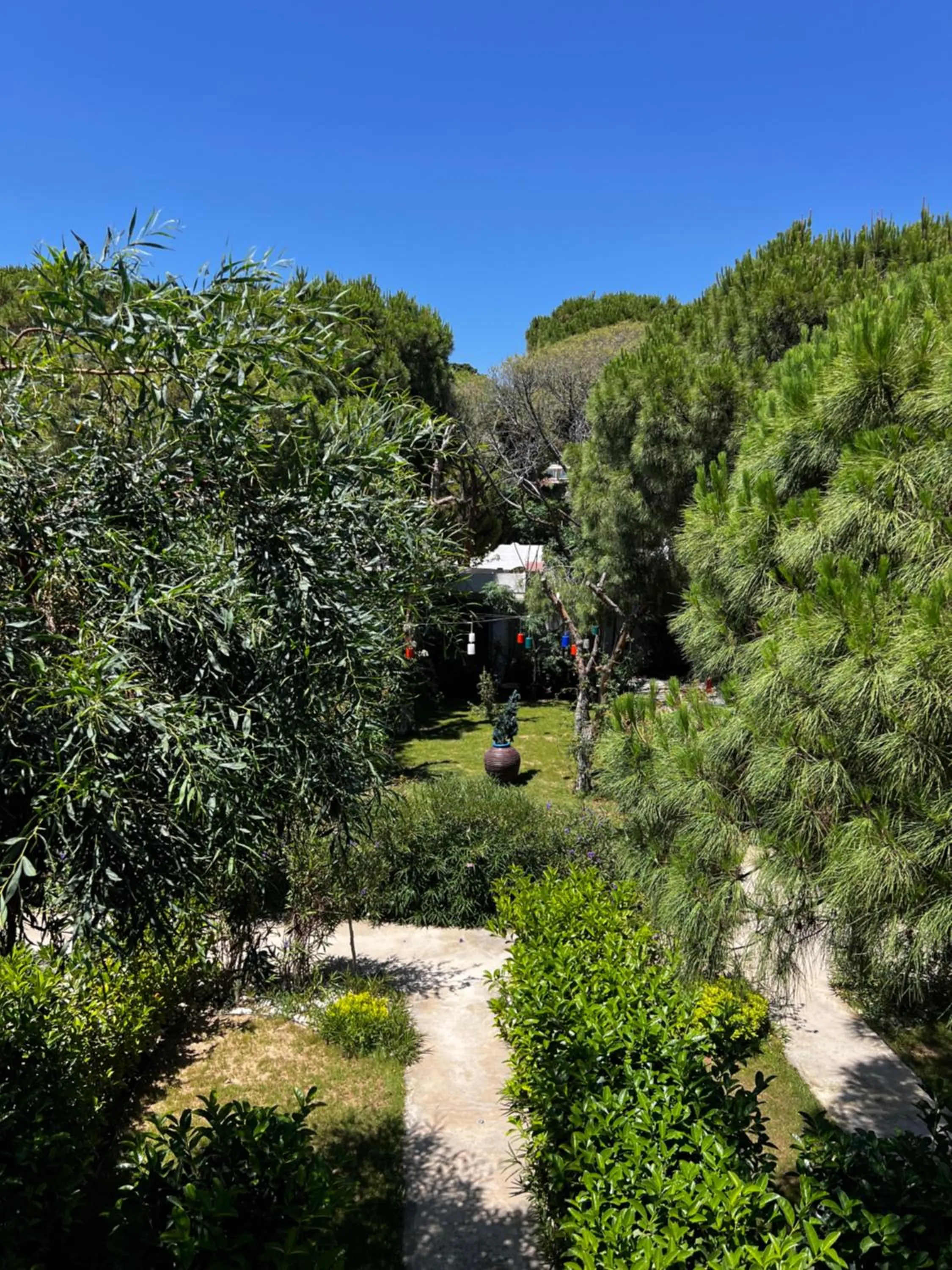 Natural landscape in ByAKKAN HOTEL