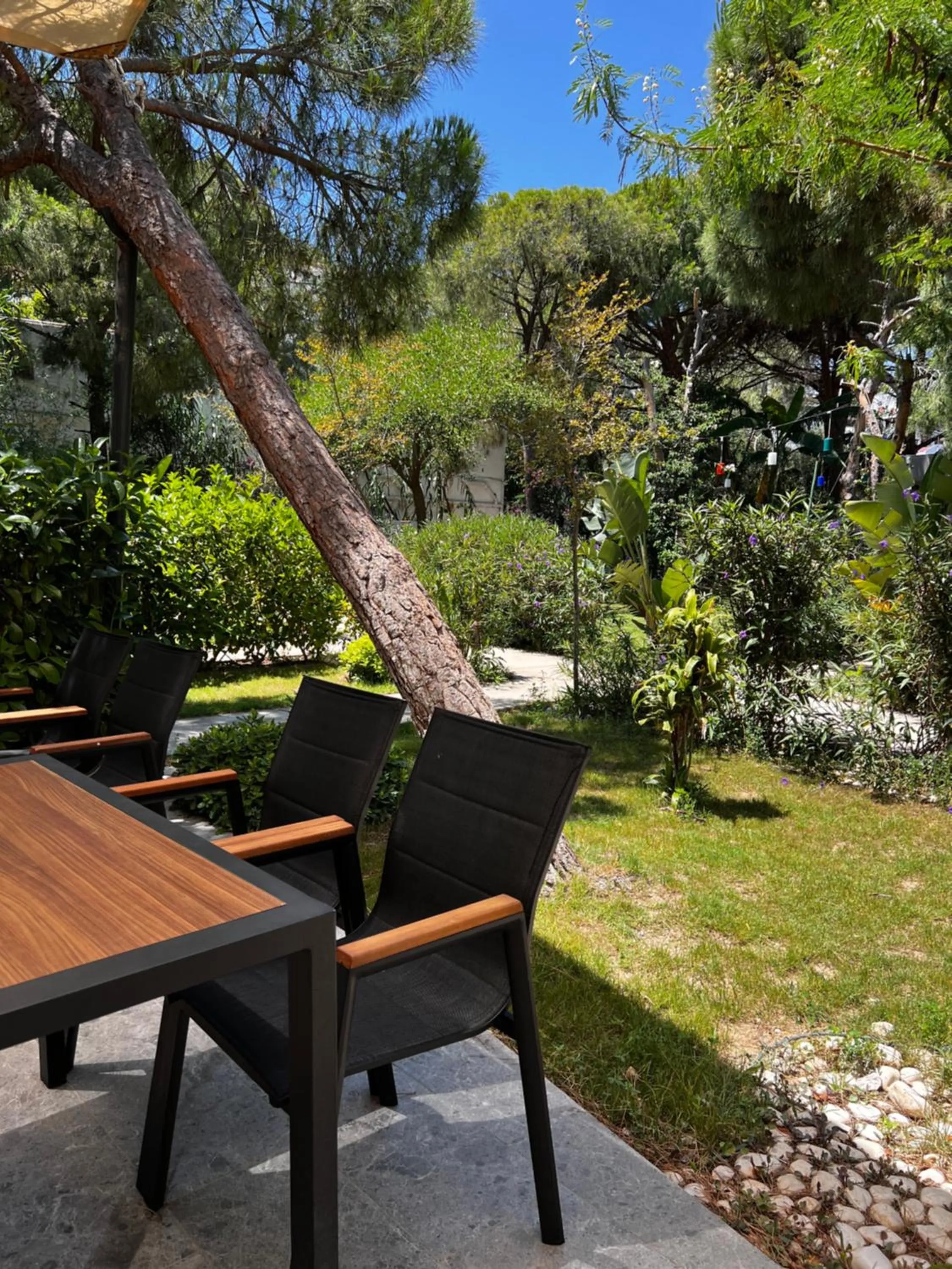 Natural landscape in ByAKKAN HOTEL