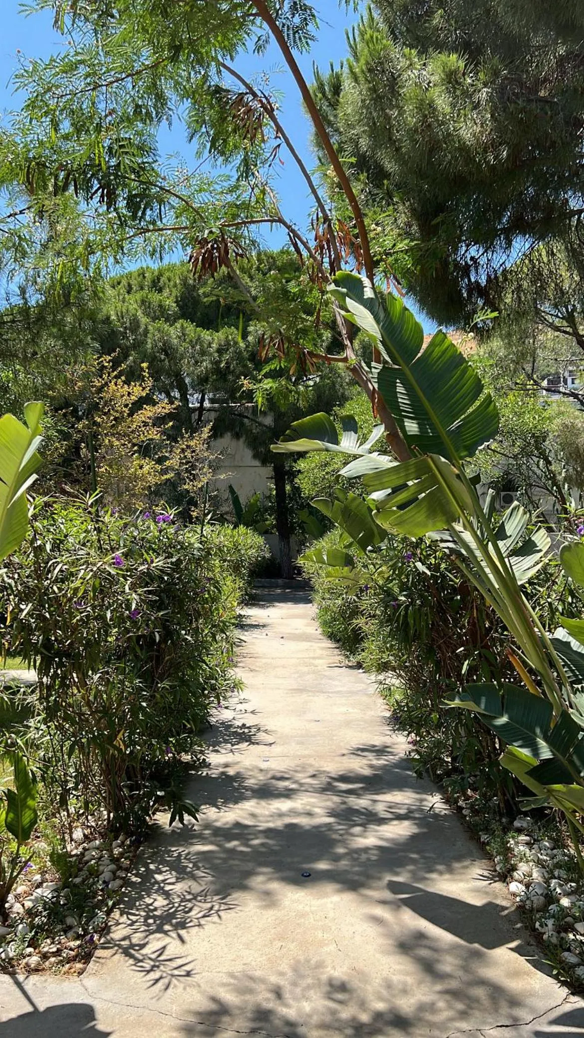 Garden view in ByAKKAN HOTEL