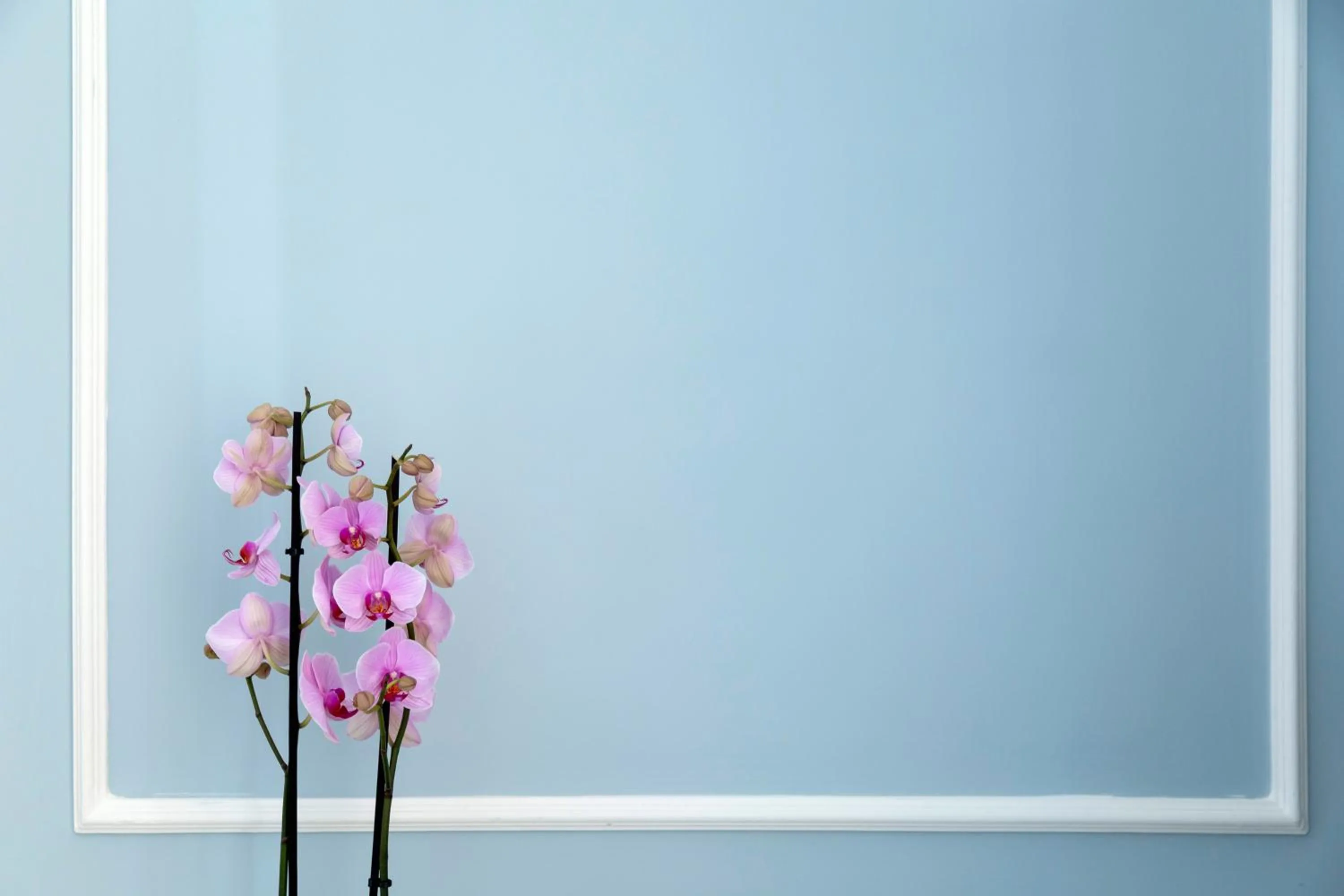 Napolit'amo Hotel Principe