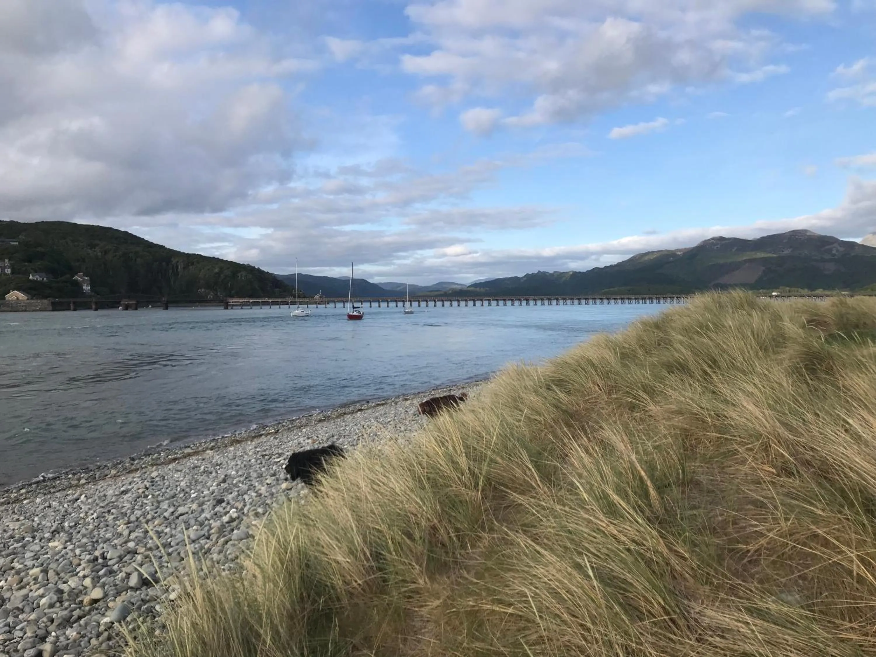 Natural landscape in Bryn Mair