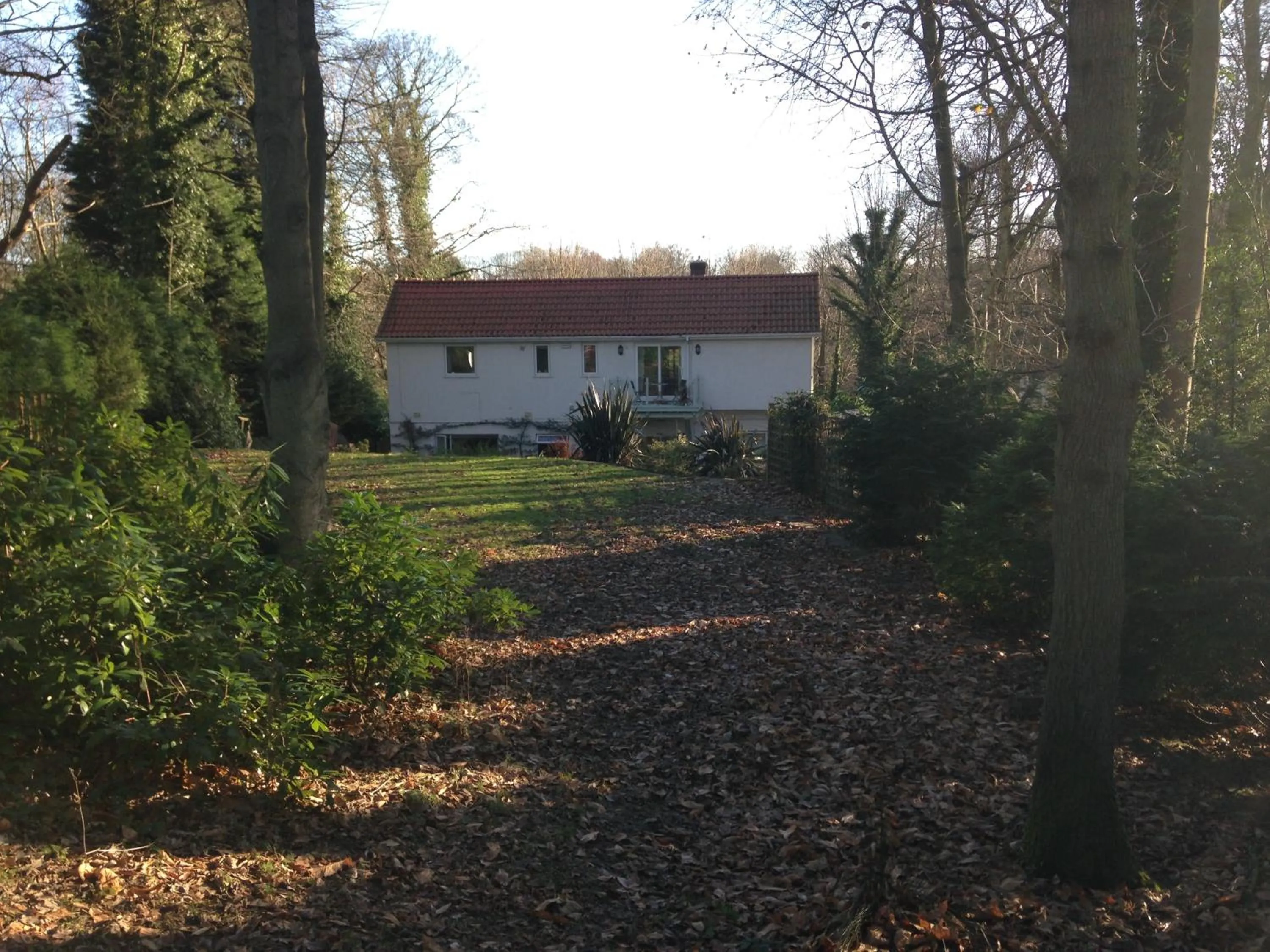 Garden in Thornybank