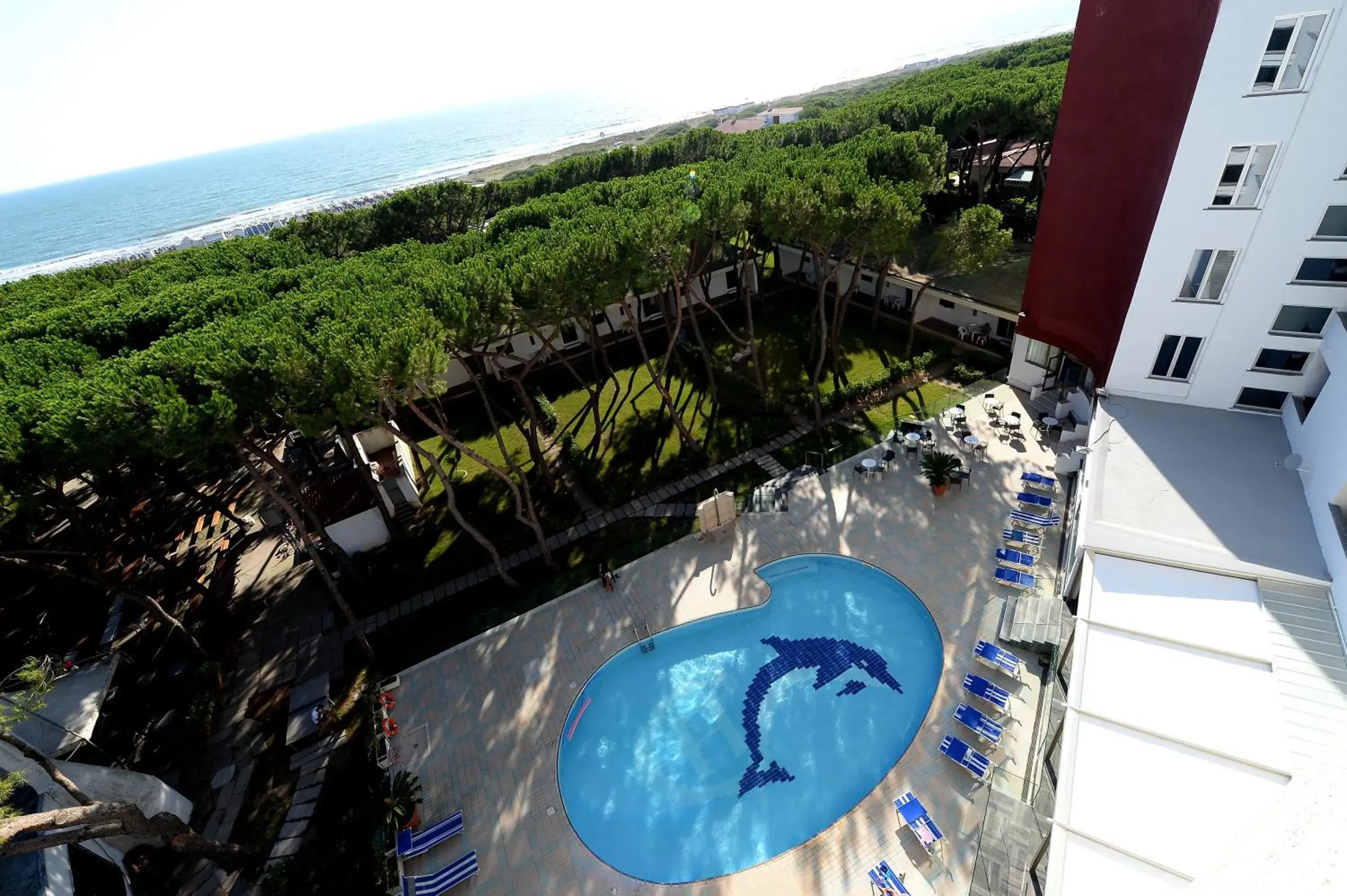 Swimming pool in Giulivo Hotel & Village Swimming pool in Giulivo Hotel & Village