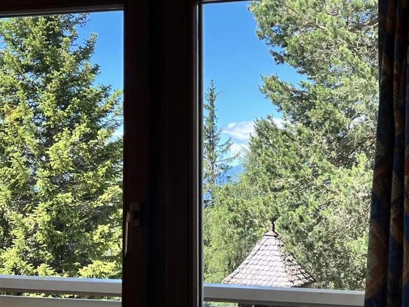 Inner courtyard view in PanoramaHotel Penegal
