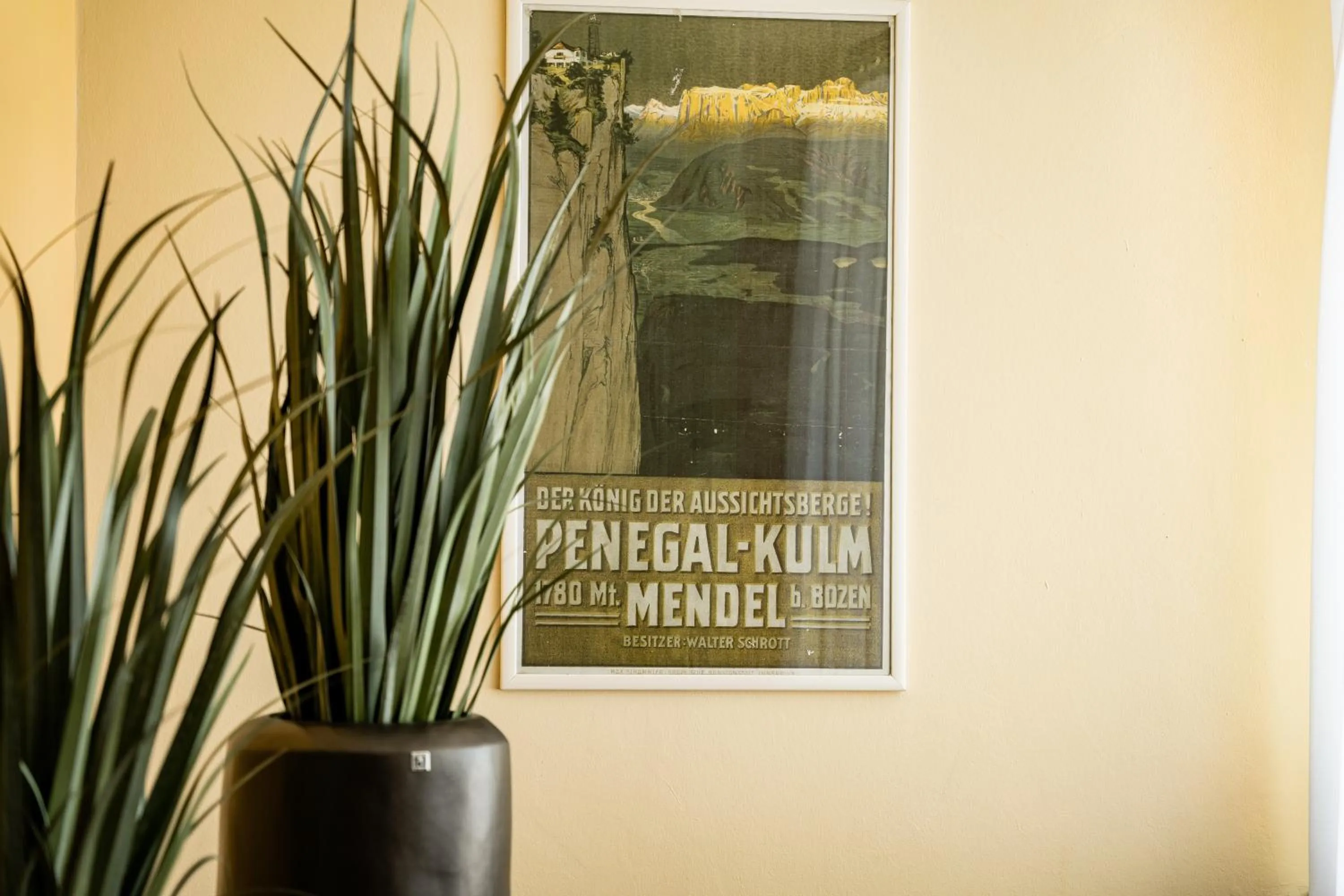 Staff in PanoramaHotel Penegal