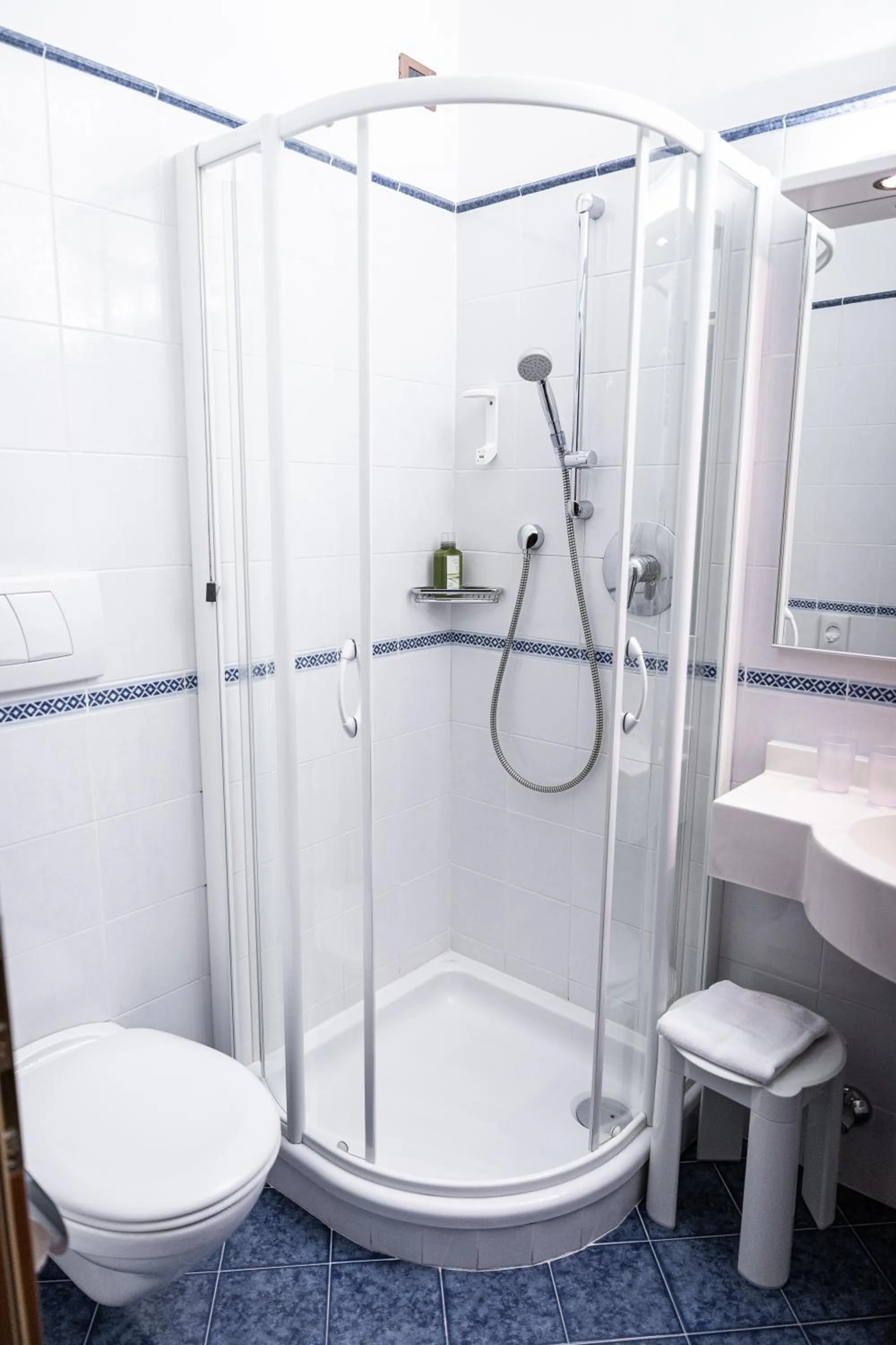 Bathroom in PanoramaHotel Penegal