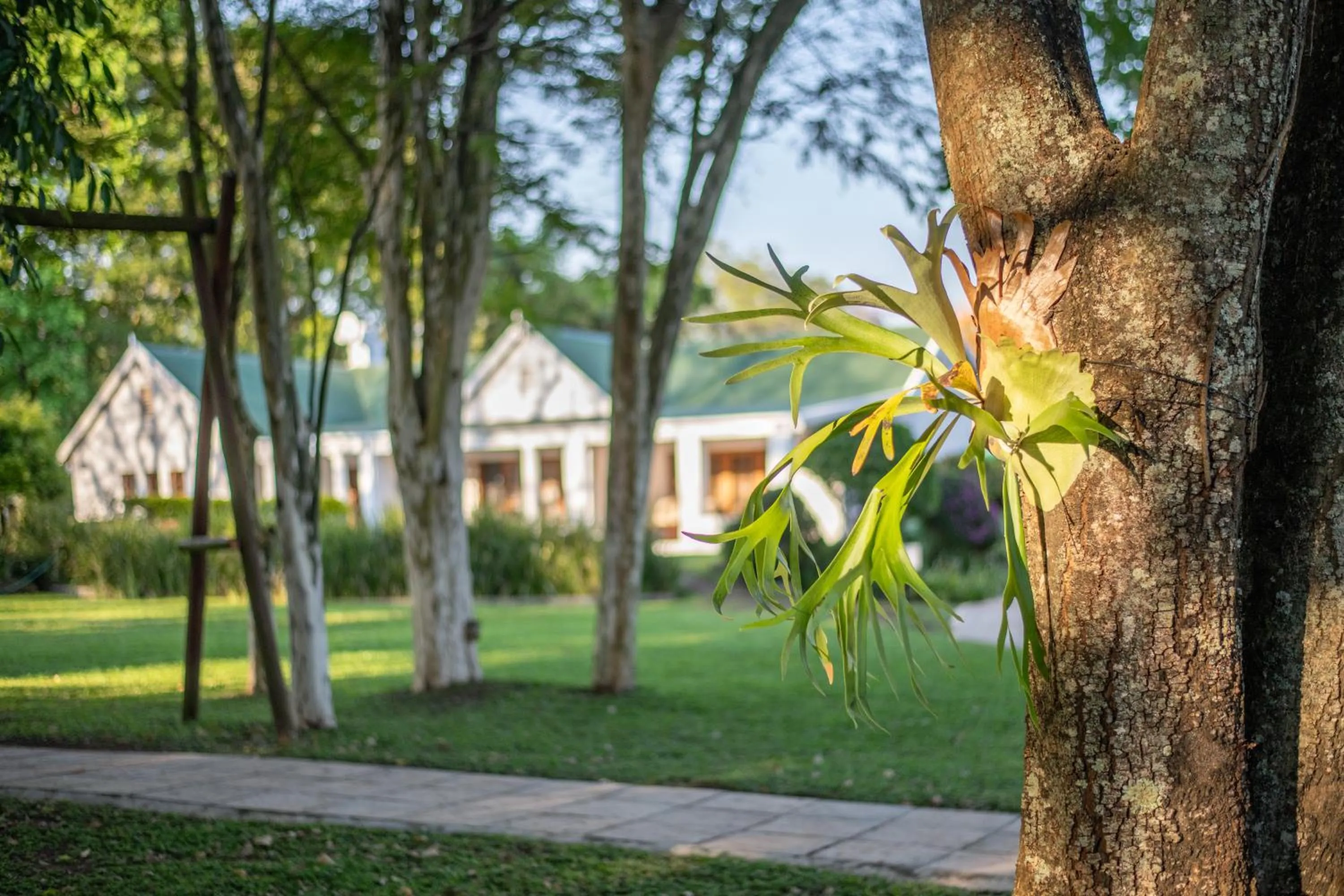 Property building in Nut Grove Boutique Hotel