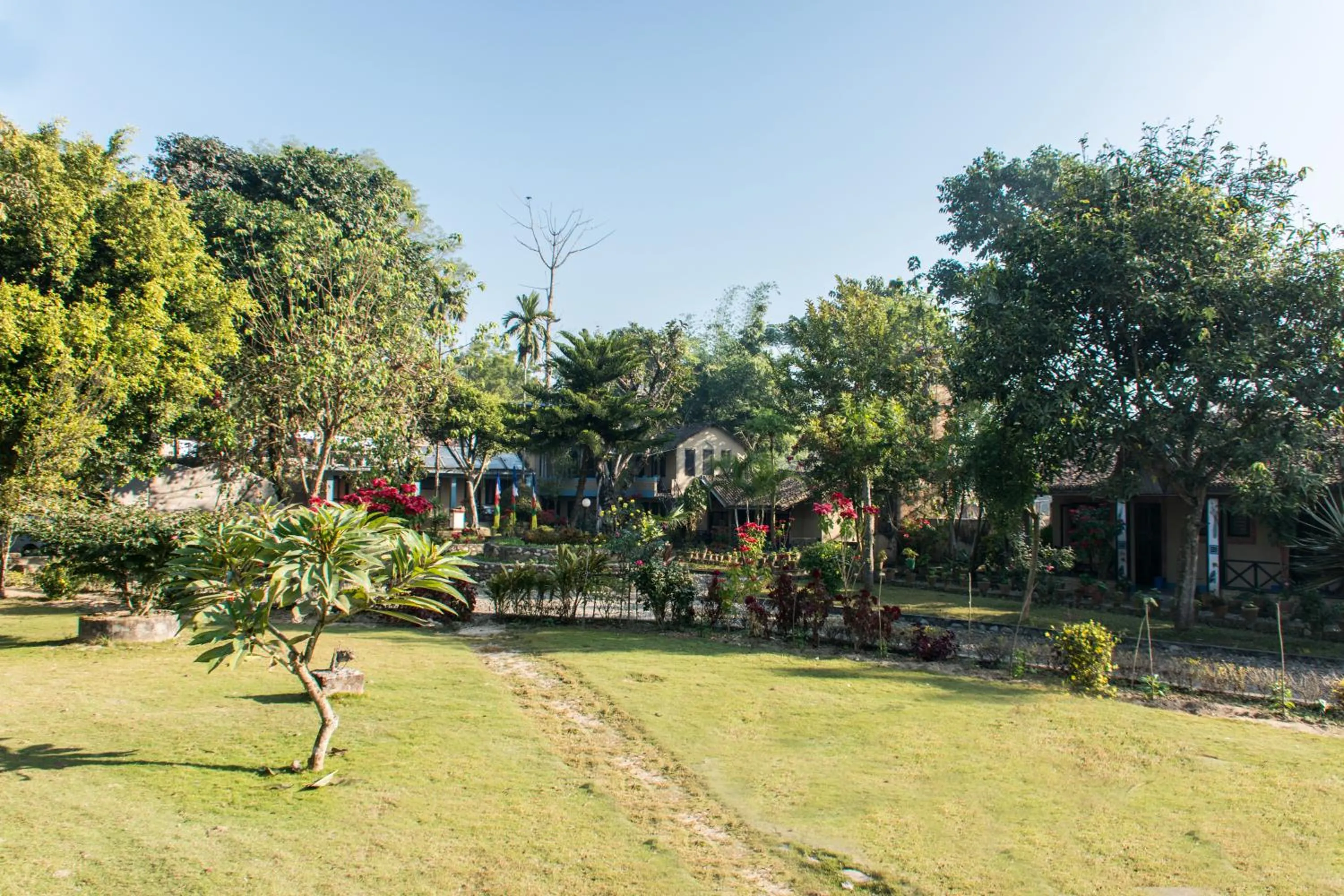 Garden in Chitwan Tiger Camp
