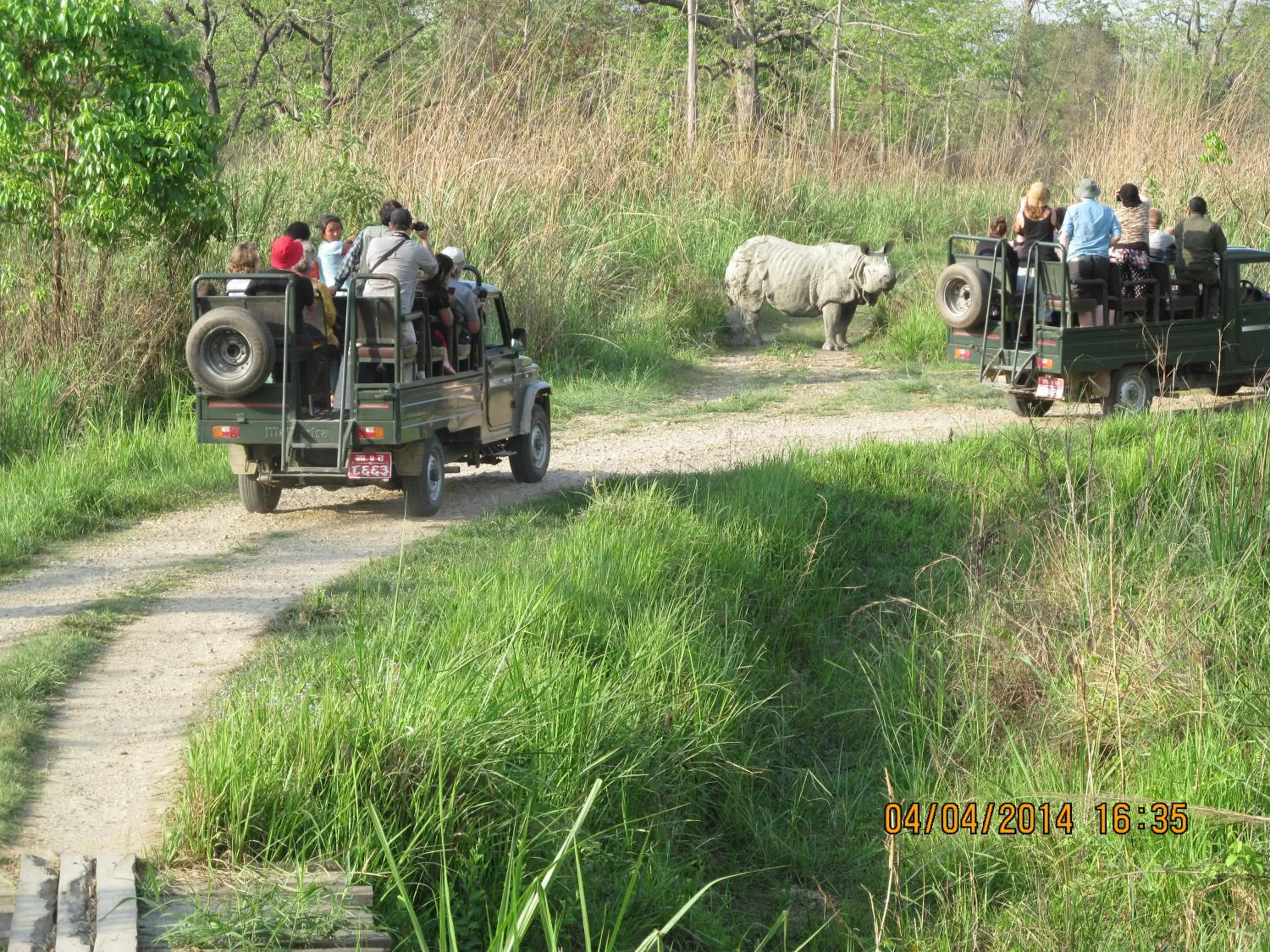 Activities in Chitwan Tiger Camp