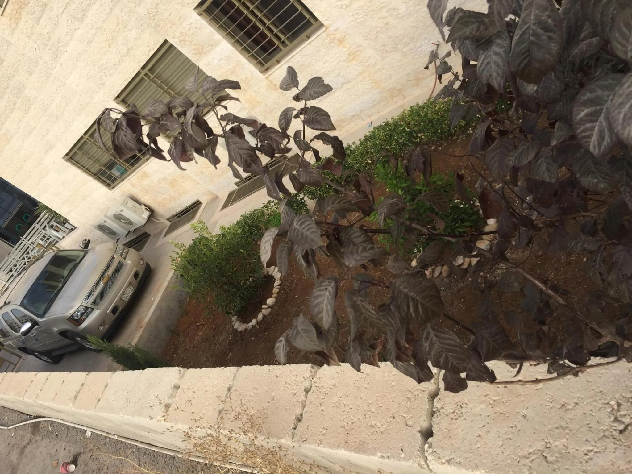 Uptown Hotel Apartment