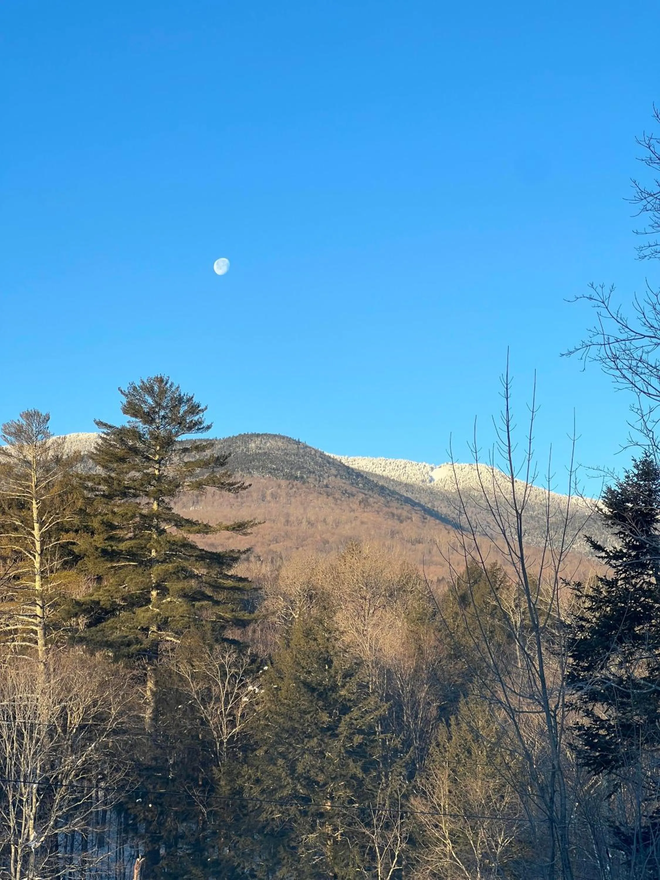 Natural landscape in The Griff Inn