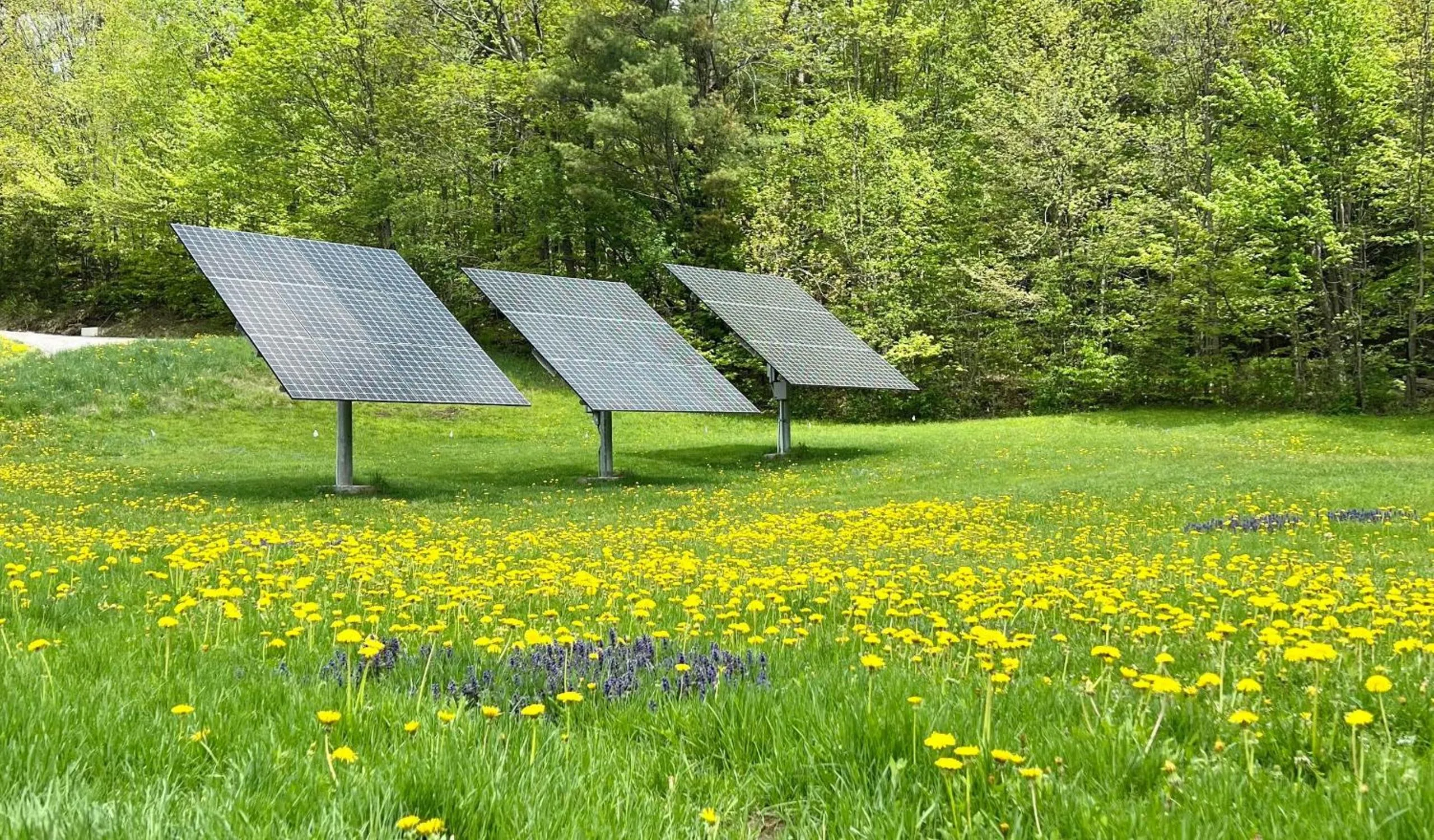 Natural landscape in The Griff Inn