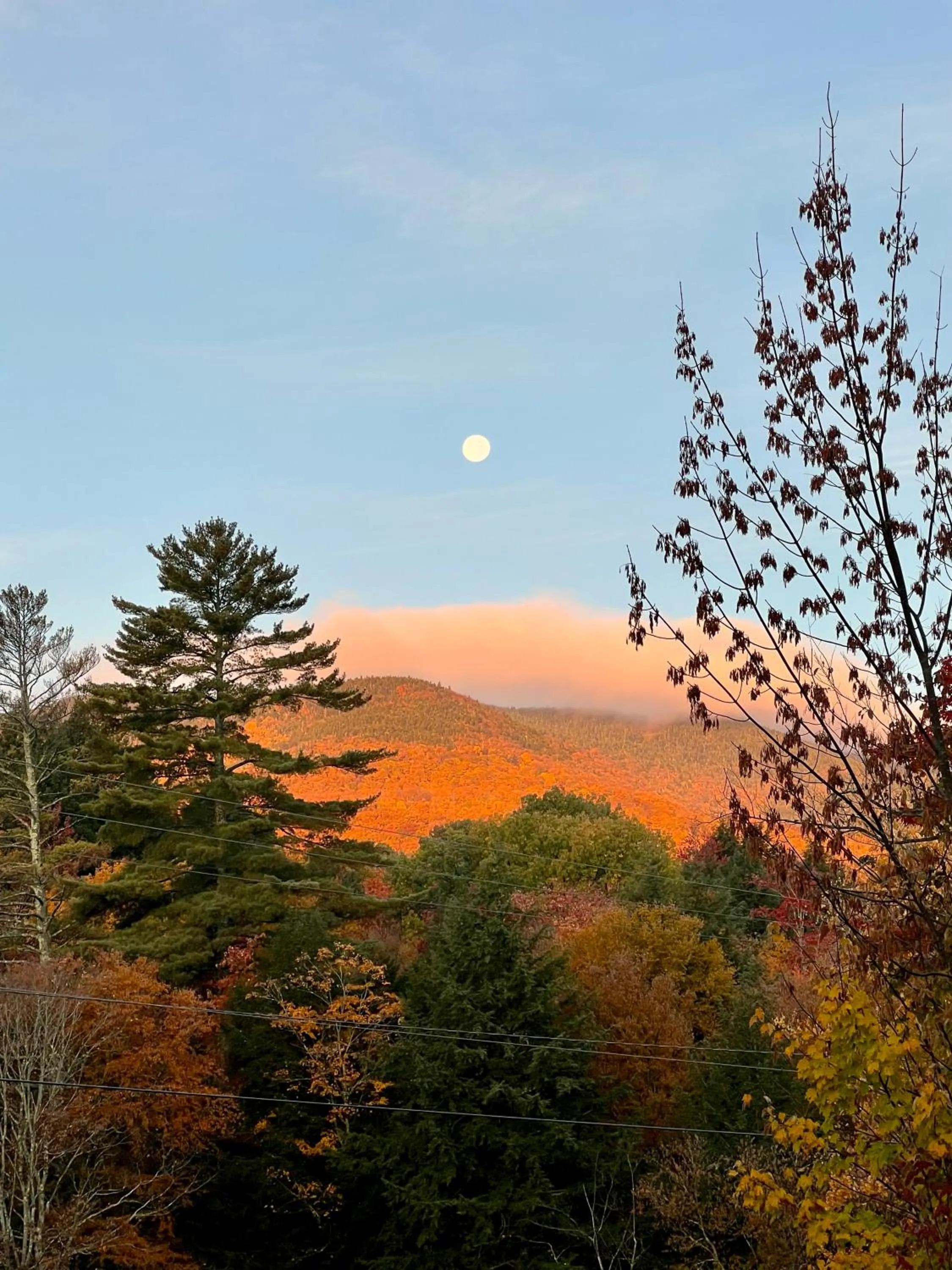Natural landscape in The Griff Inn