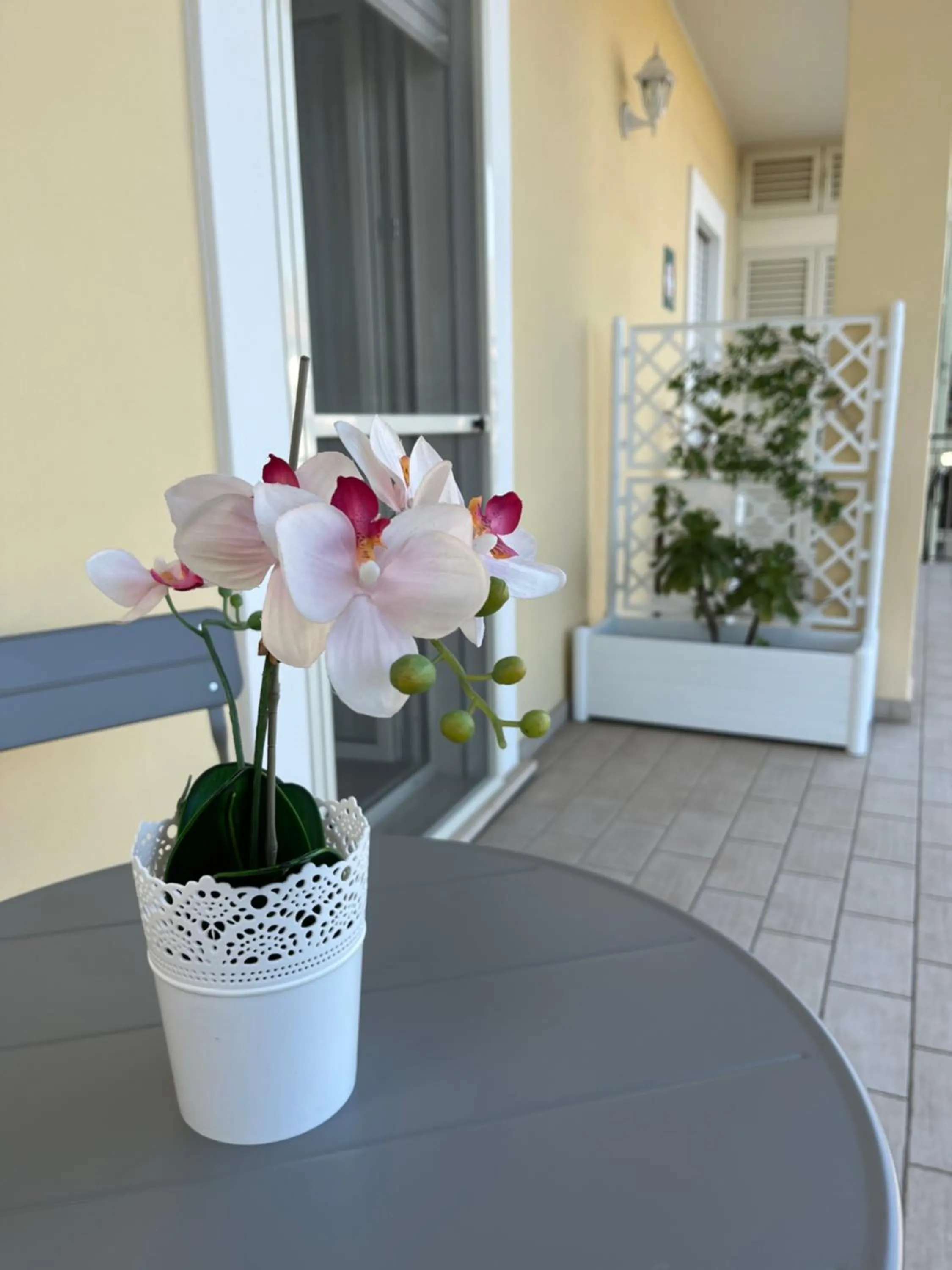 Balcony/Terrace in Bed&Breakfast del viaggiatore