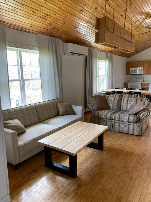 Living room in Loft apartment in Kensington