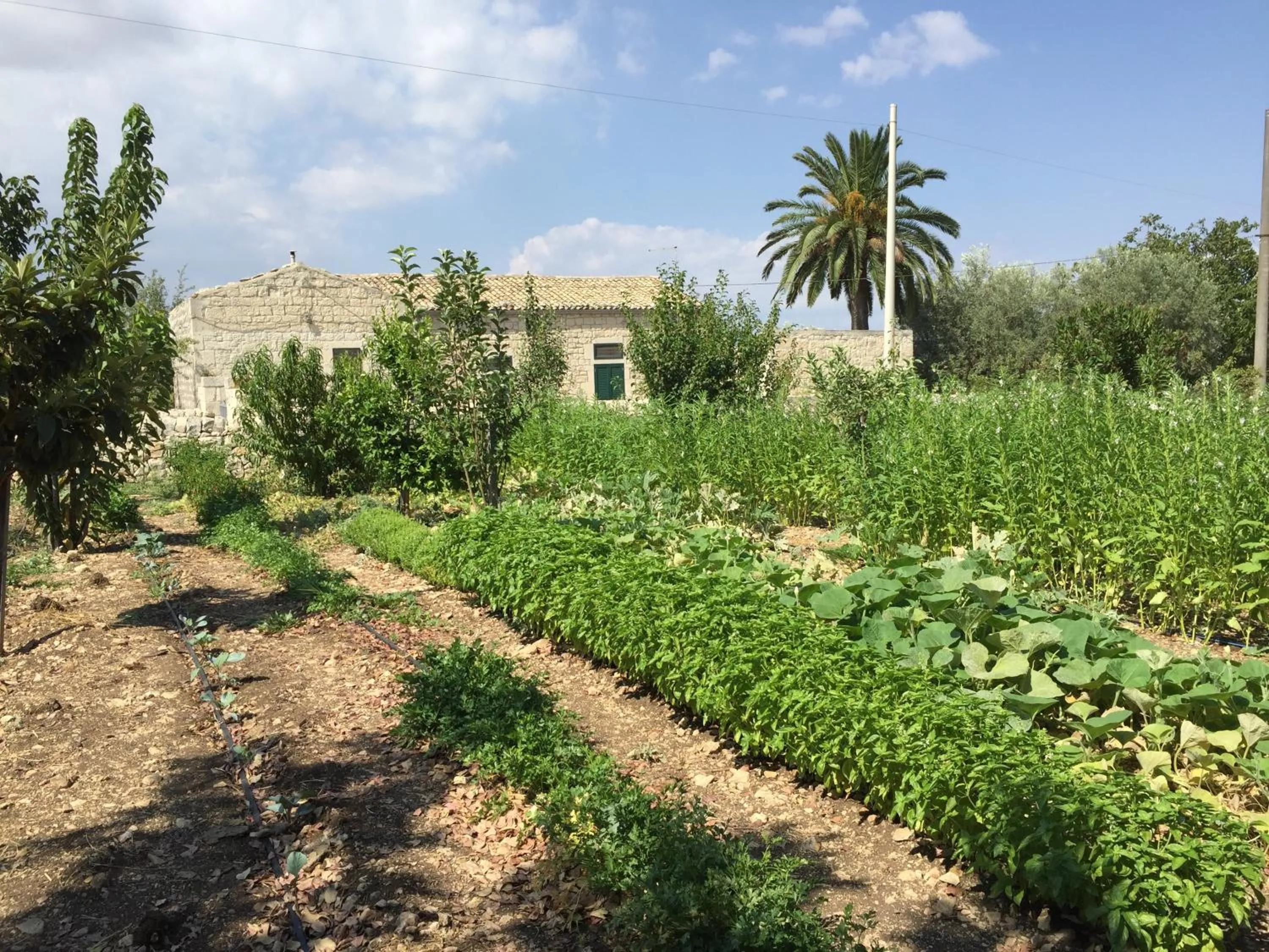 Garden view in Agriturismo Il Melograno