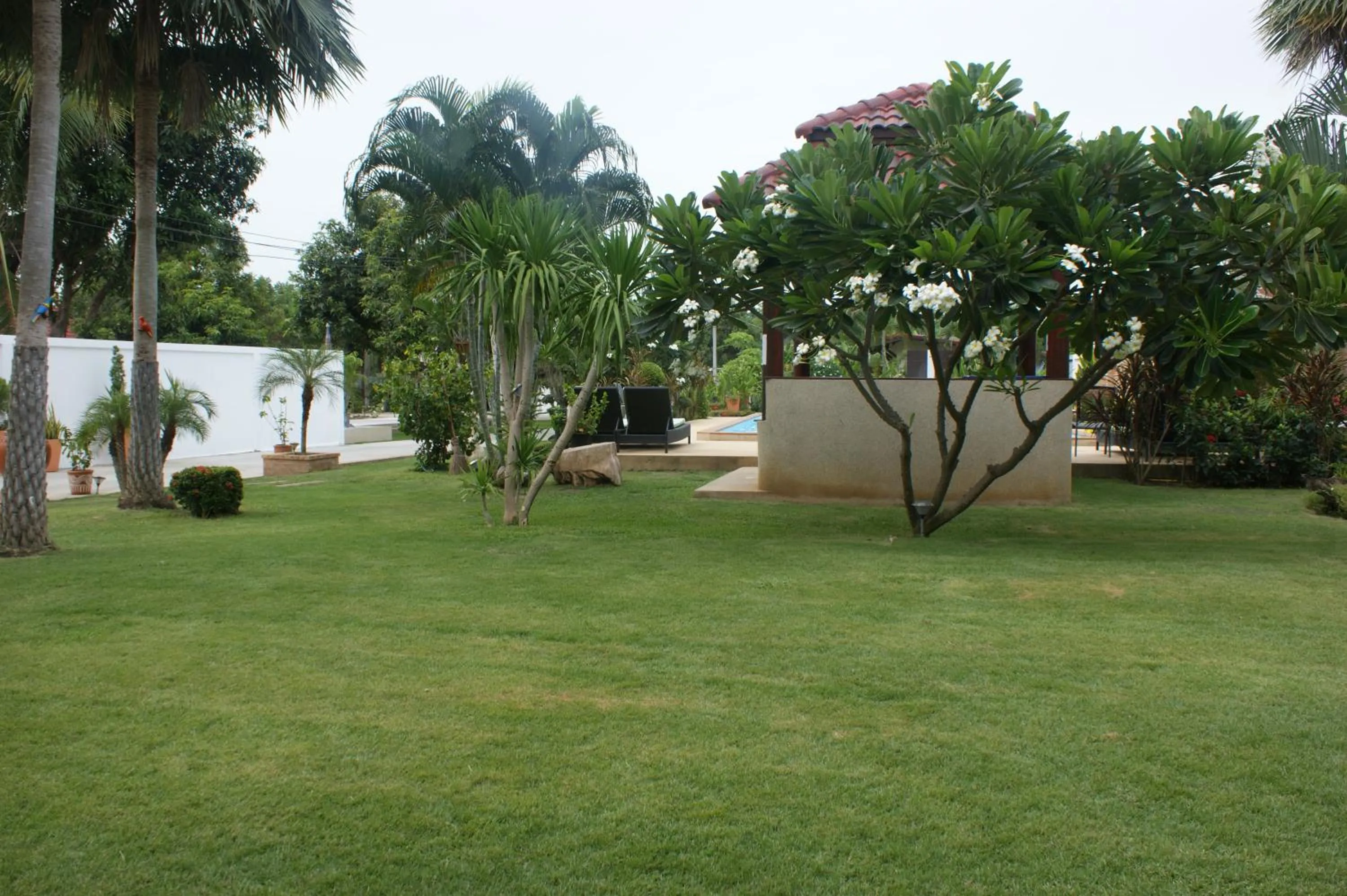 Garden view in Sumali Villa