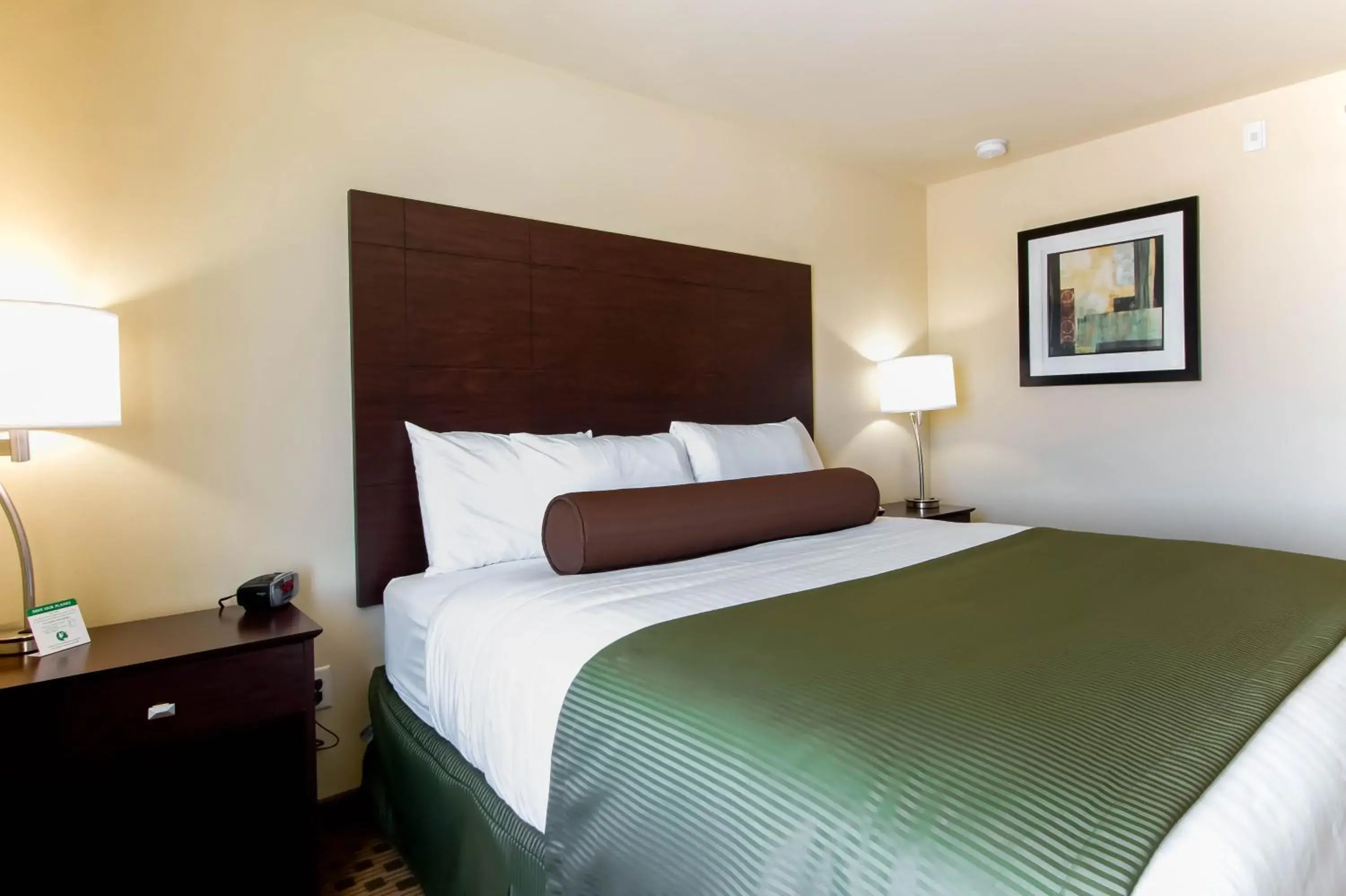 Bed in Cobblestone Inn & Suites - Eads Bed in Cobblestone Inn & Suites - Eads
