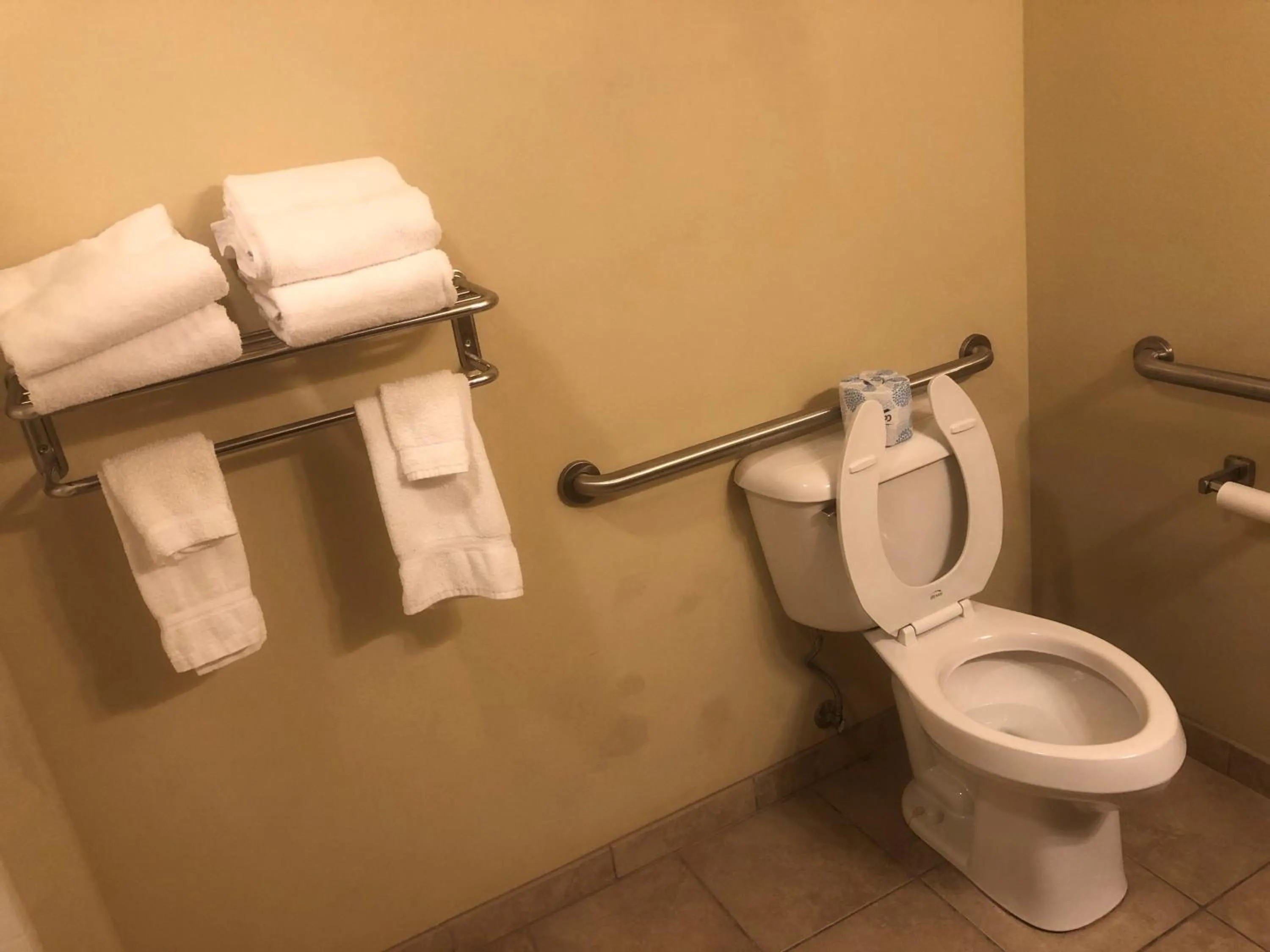 Toilet in Cobblestone Inn & Suites - Eads