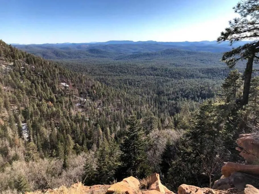 Forest Cabin 2 Birds Nest