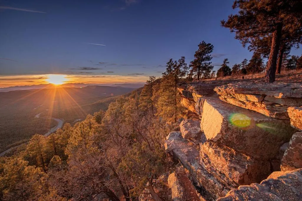 Forest Cabin 2 Birds Nest