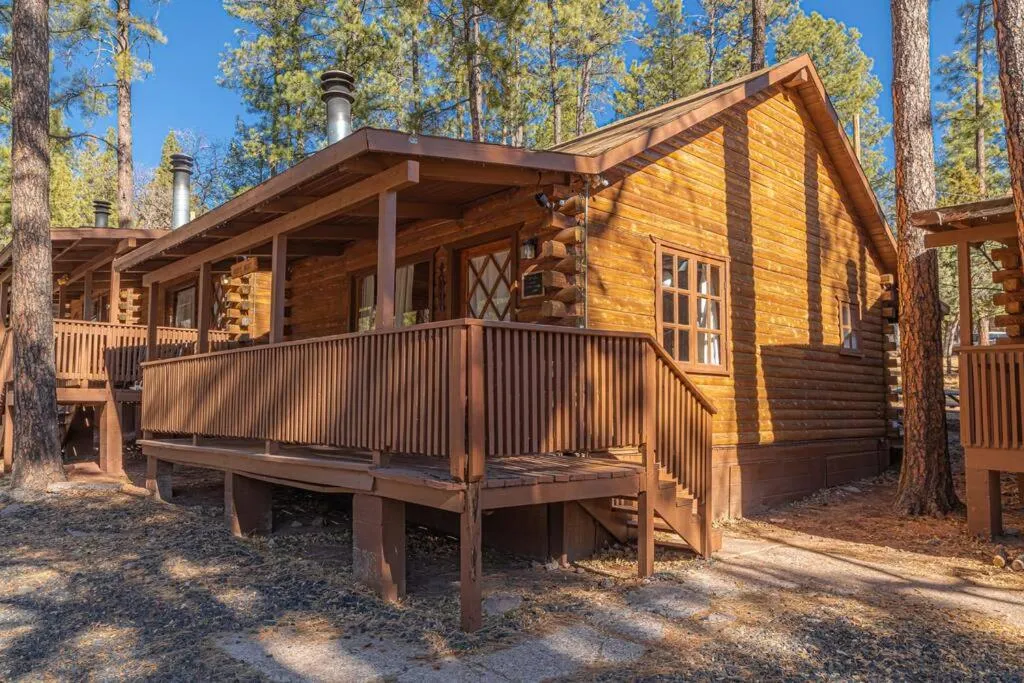 Forest Cabin 2 Birds Nest