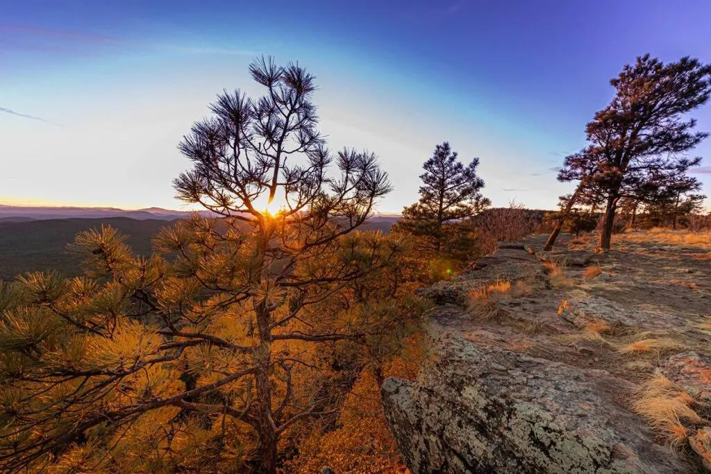 Forest Cabin 4 Cowboys Dream