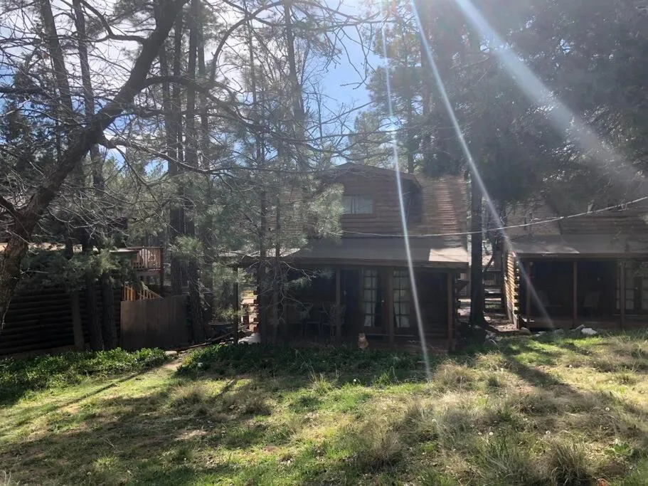 Forest Cabin 4 Cowboys Dream