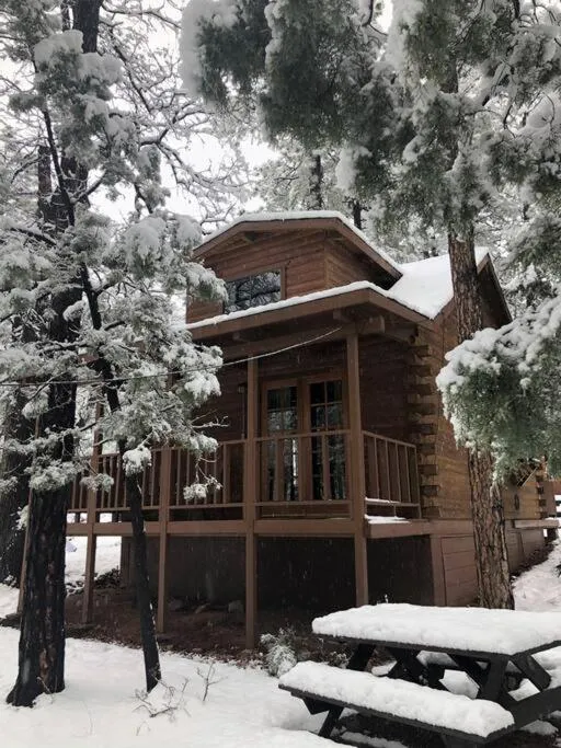 Forest Cabin 4 Cowboys Dream